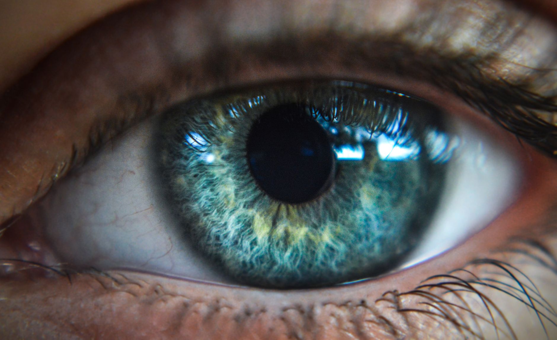 Unveiling the Ancestral Cyclops: The Origin of Human Eyes