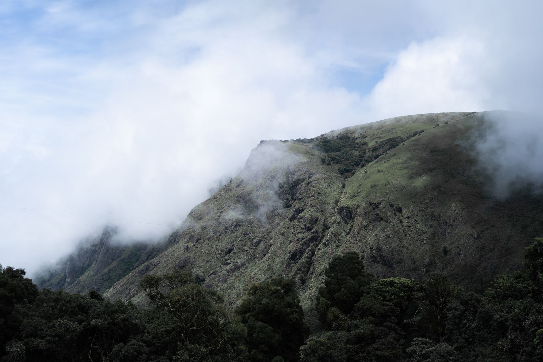 New Initiative Aims to Transform Environmental Education in The Nilgiris