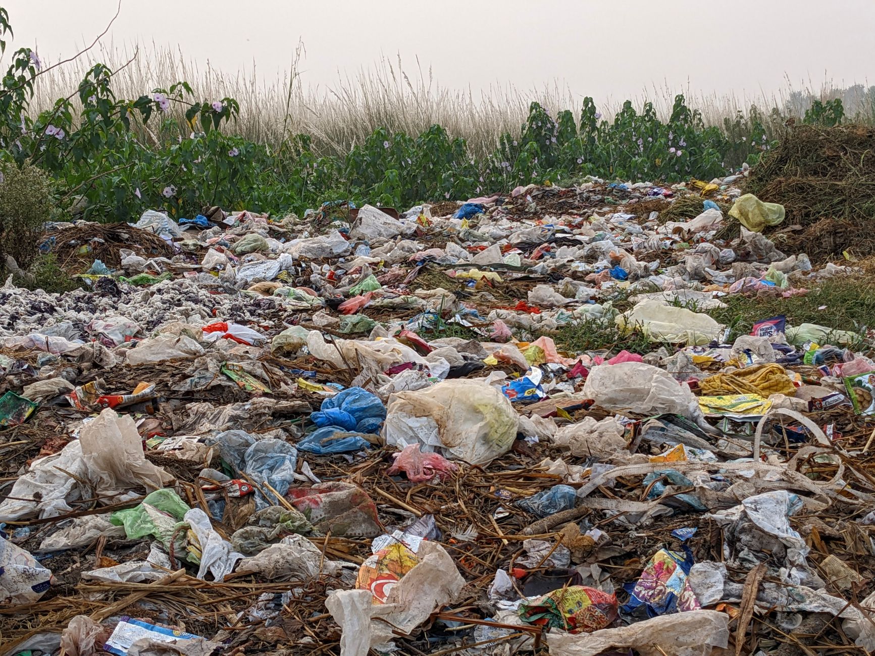UNEP: Navigating Global Environmental Challenges from Nairobi