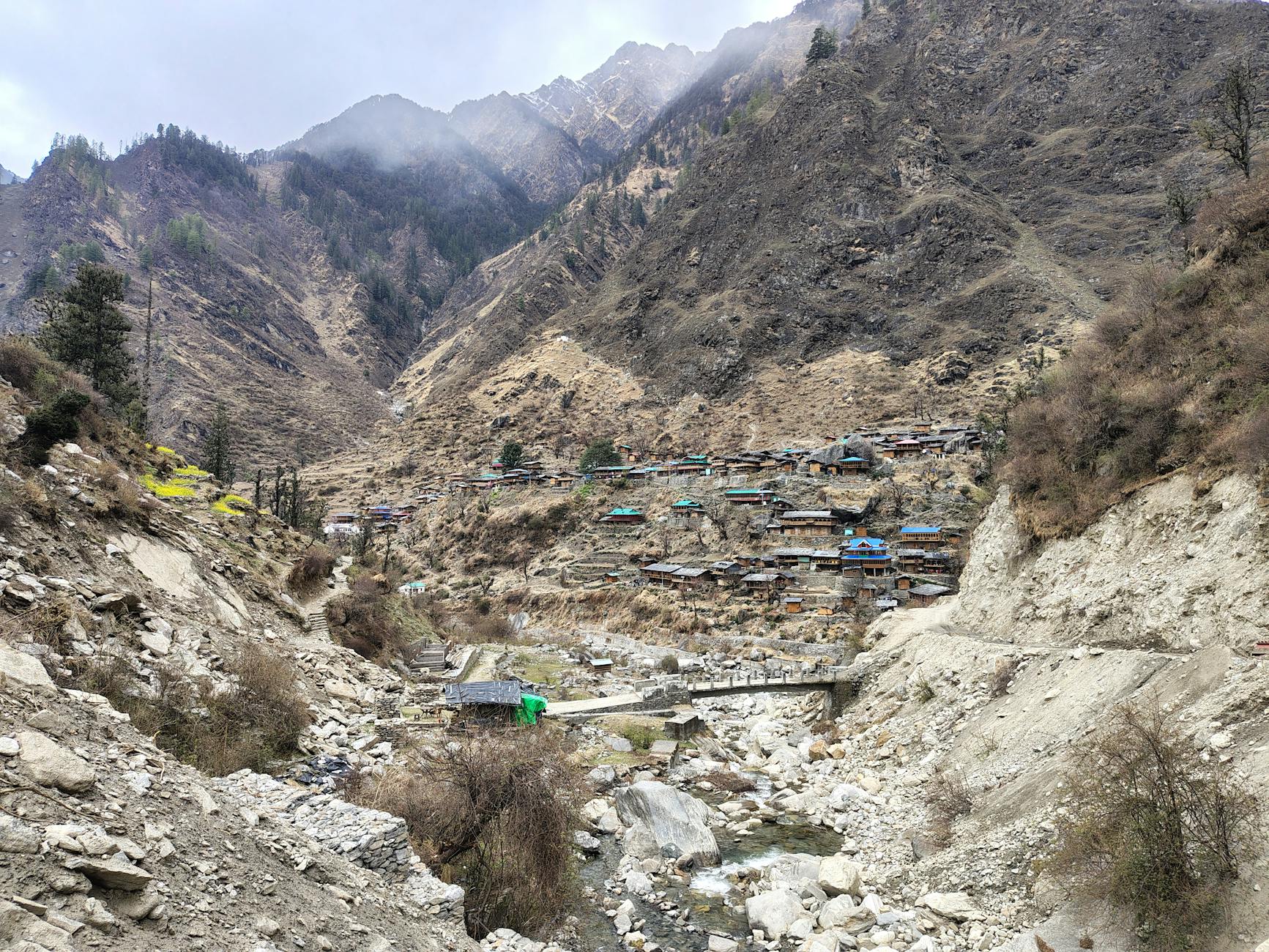 Uttarakhand CM Dhami Advocates Green Initiatives on World Environment Day