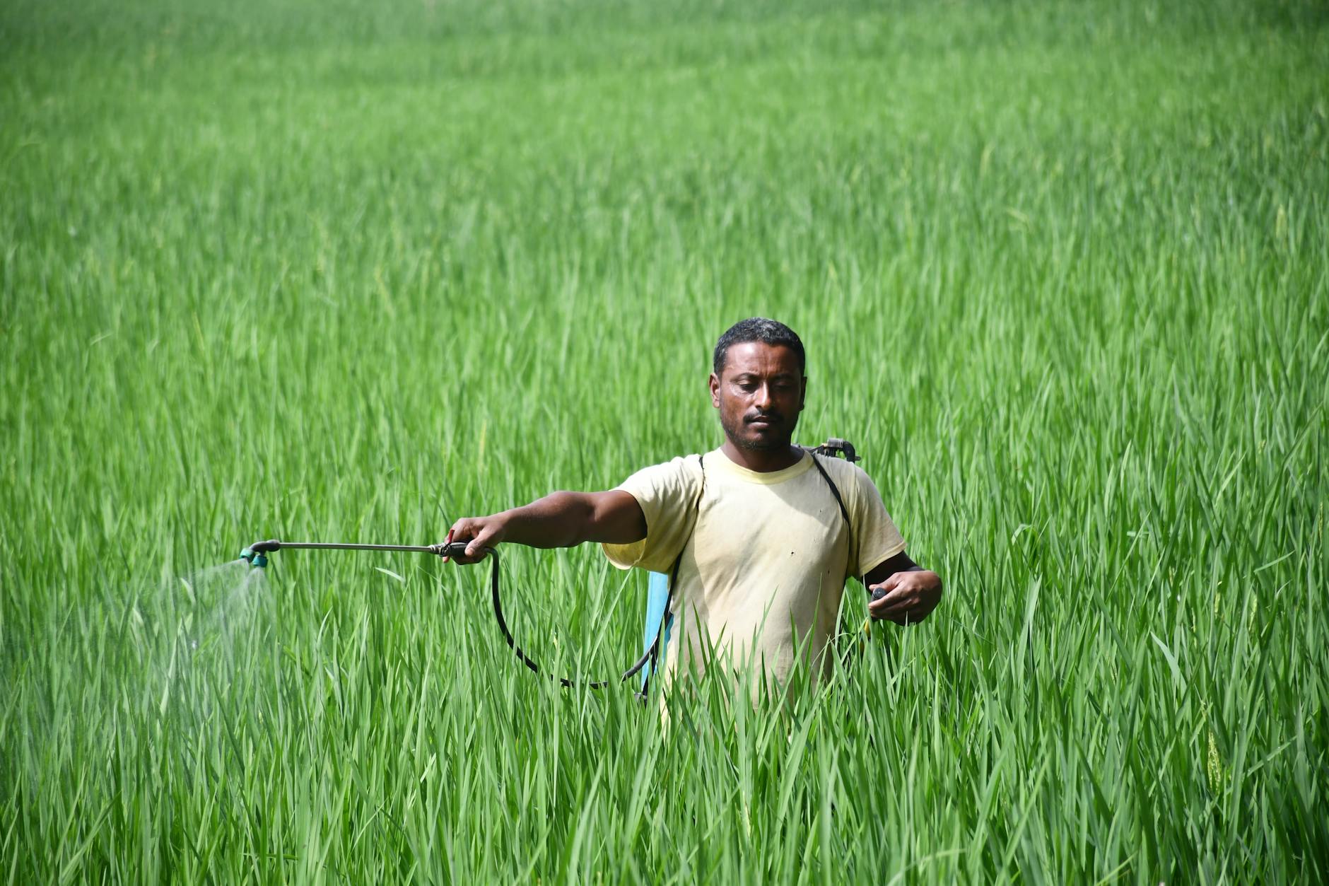 UPL Group Restructures to Form Global Crop Protection Giant