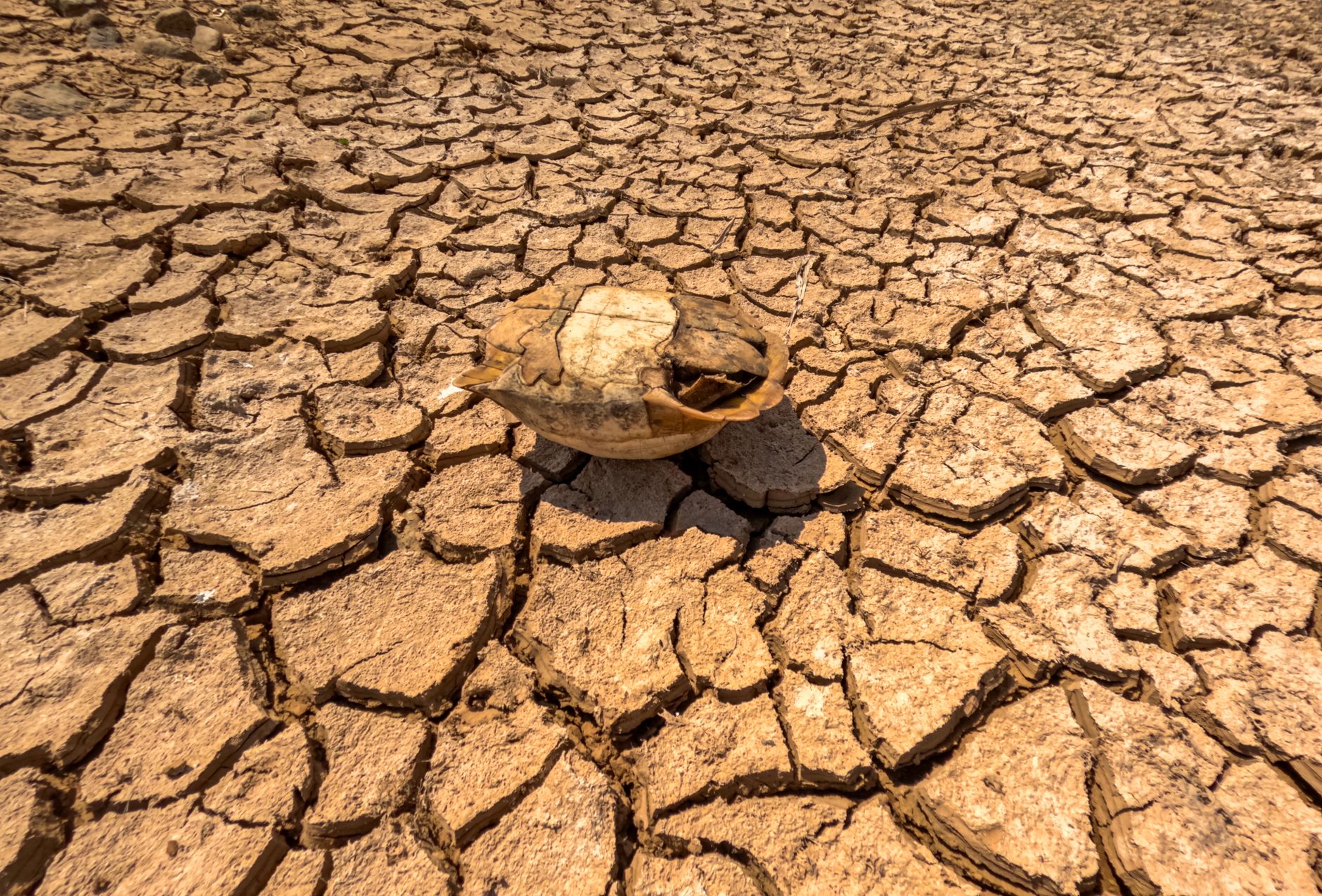 The Overlooked Peril of Rising Temperatures
