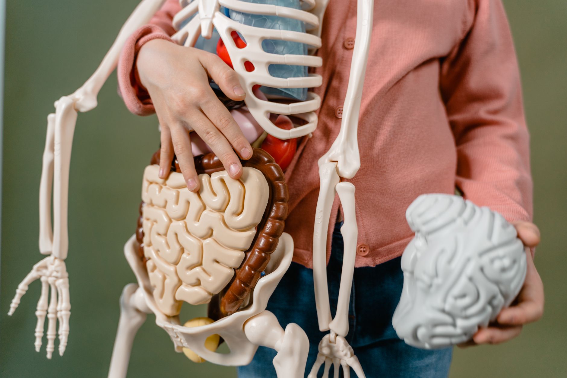 Could Our Brain Be Two Systems in Disguise?