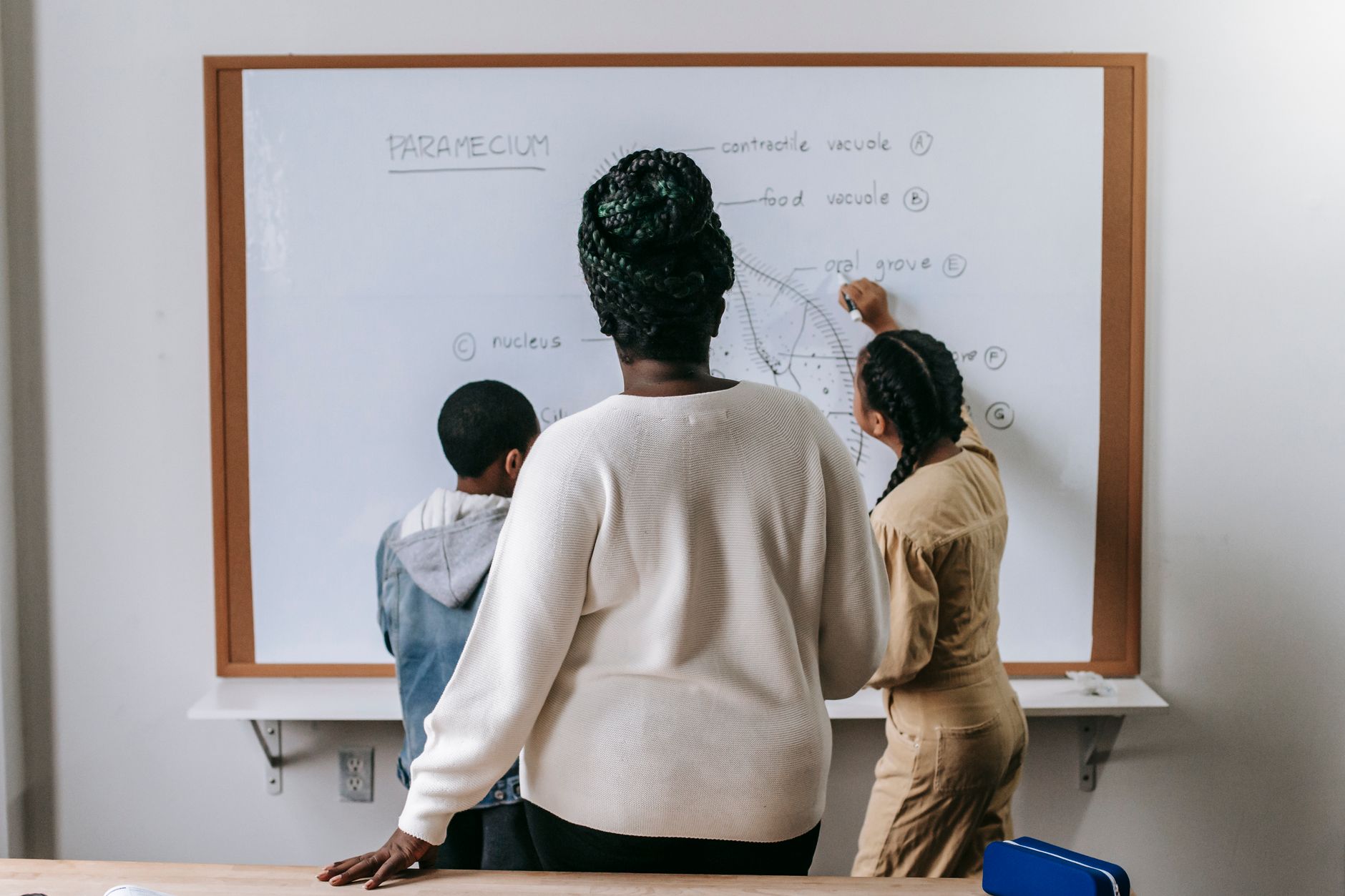 Technical Education Revolution: Burnham's Bold School Reforms