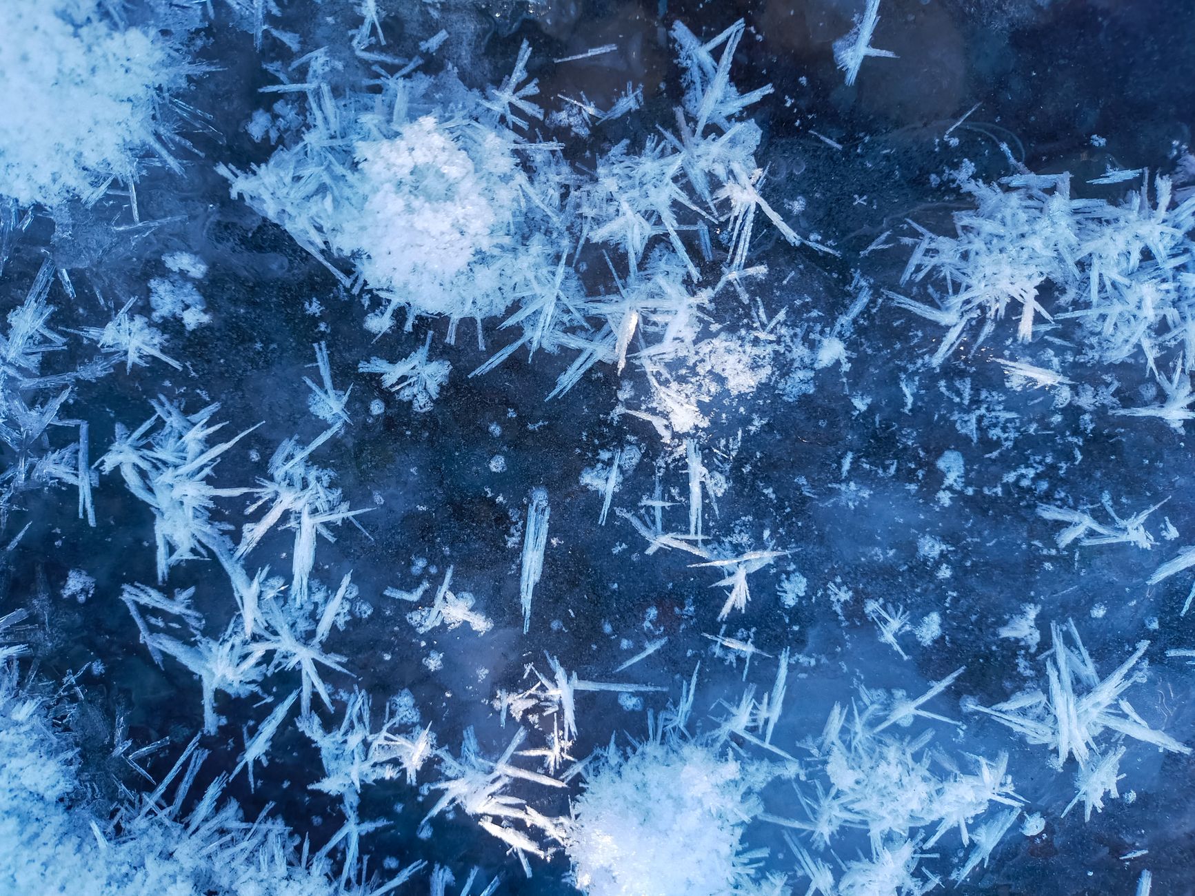 From Tiny Universes to Historic Finds: Science News Unveiled