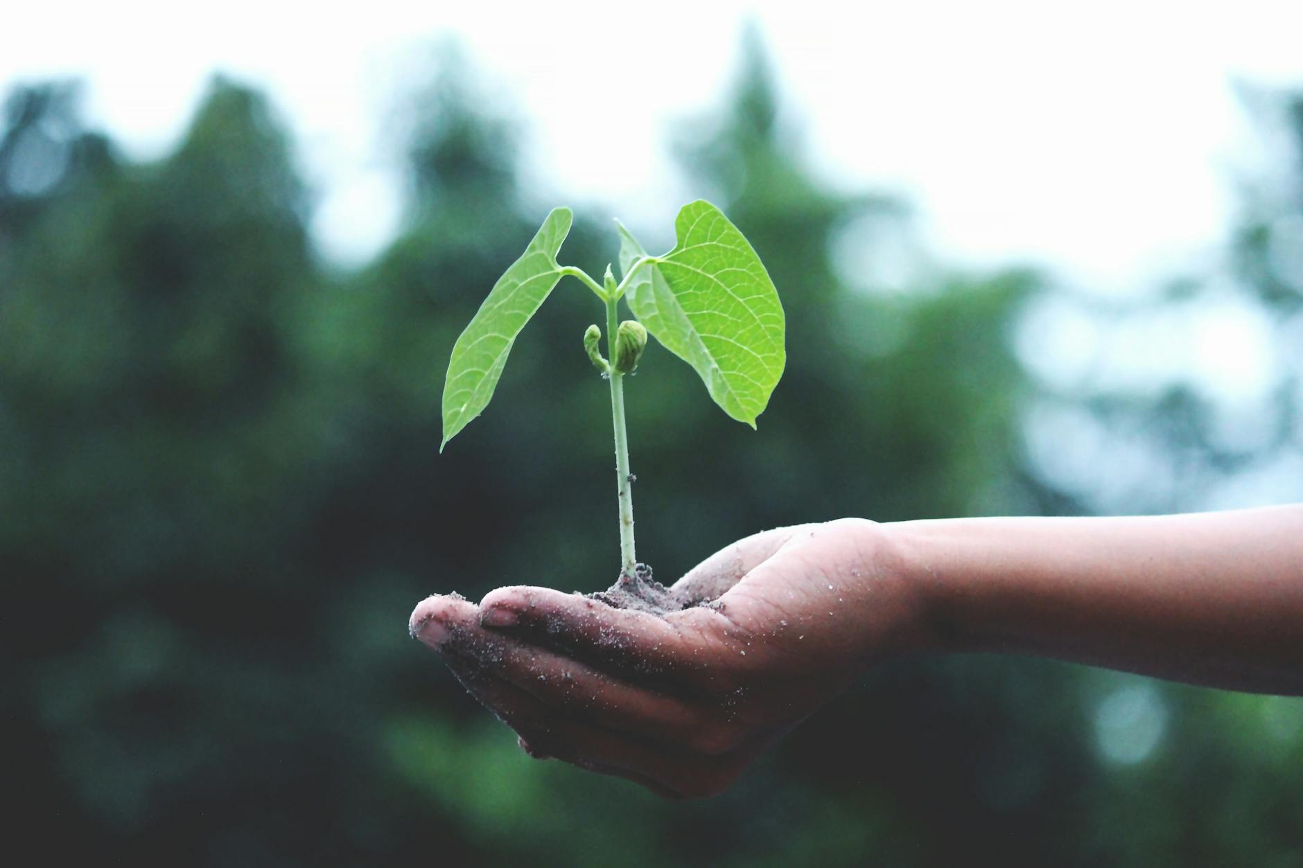 Philanthropy's Bold Step: $615 Million Pledged for Asia's Future