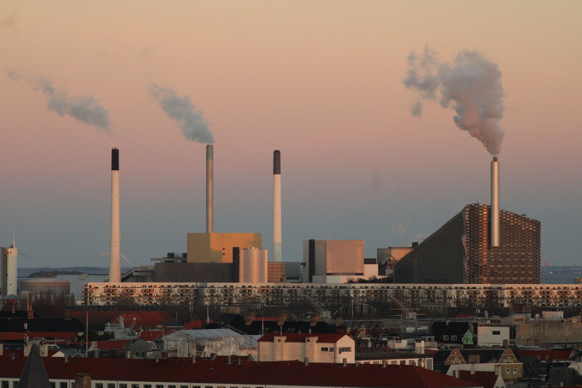 Green Giants: Cities Leading the Environmental Charge