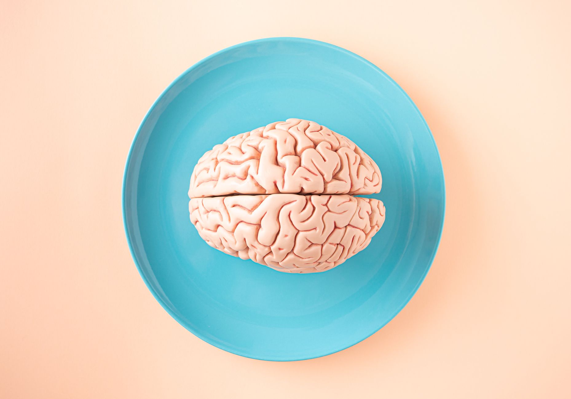 Human Brain Tissue Thrives in Mice: A Scientific Breakthrough