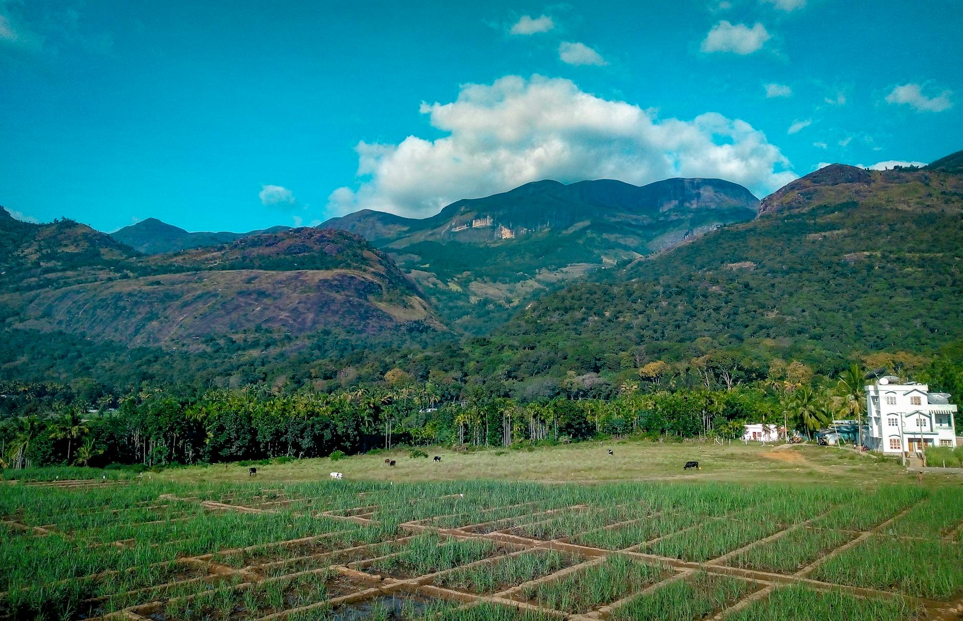 Kerala's 'Kathiru' Clubs Cultivate Young Minds in Agriculture