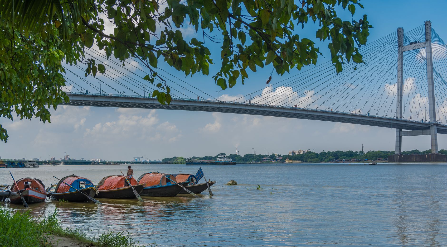 Judiciary Tightens Grip on Environmental Oversights