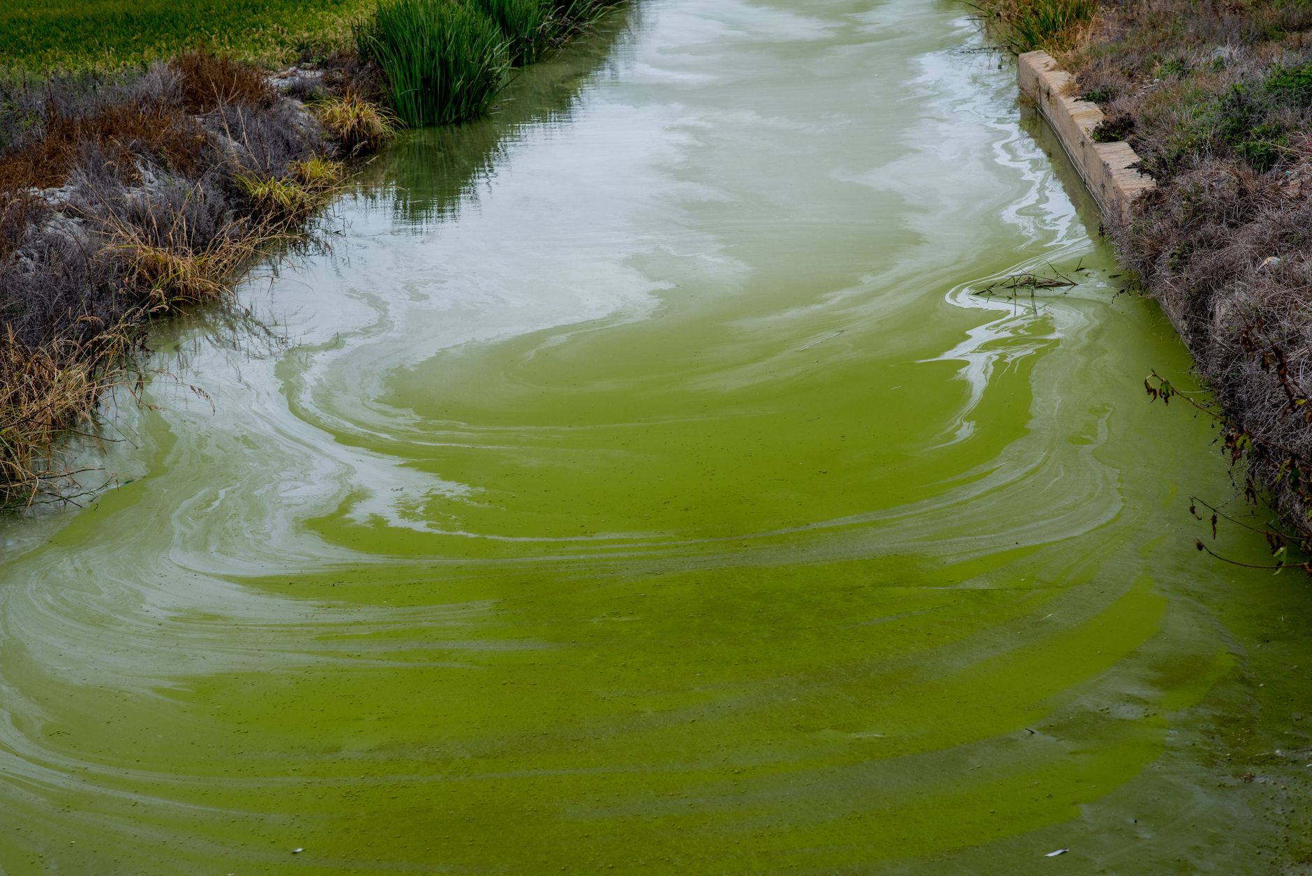 England's Waters: A Toxic Tale of Pollution and Neglect