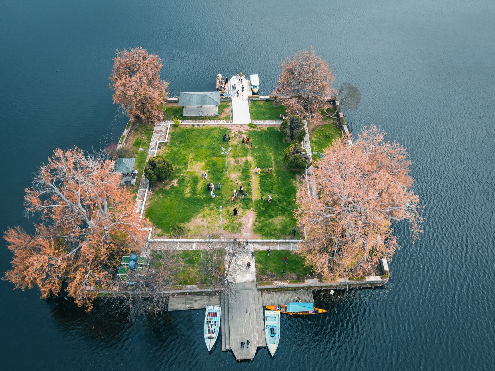 Chinar Book Festival: A Green Awakening by Dal Lake