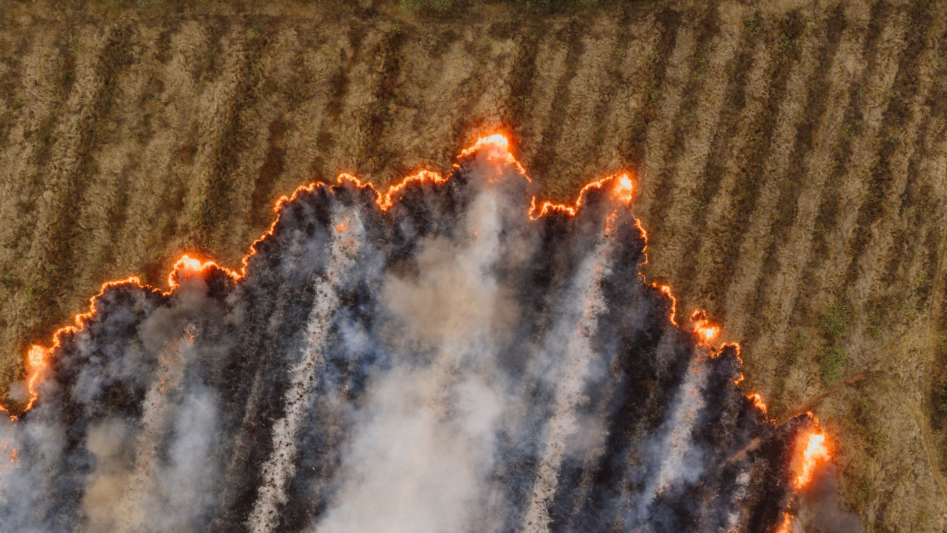 Health Crisis Looms as Indonesia's Wildfires Choke Southeast Asia