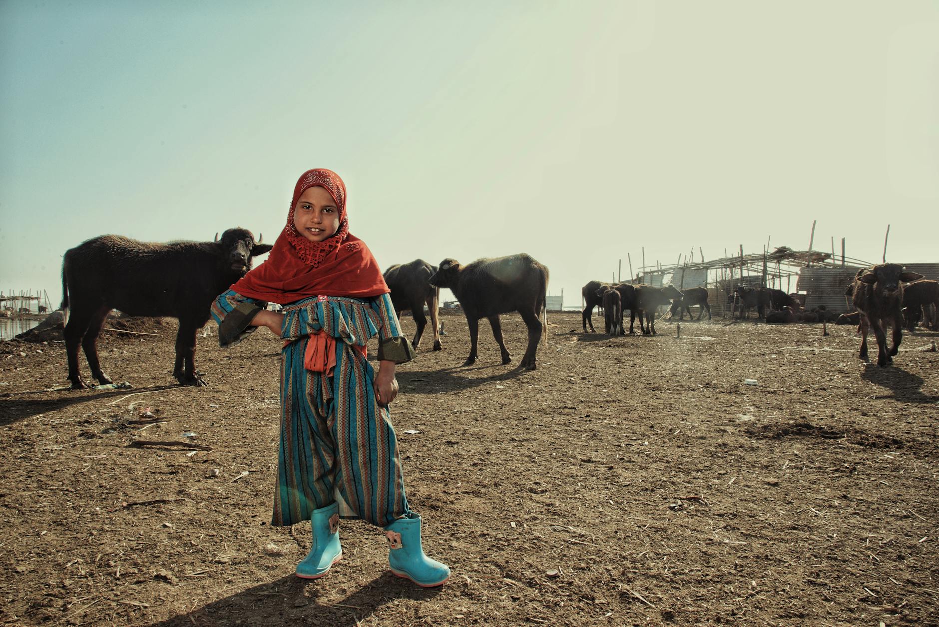 UNFPA and Iraq's Health Ministry Unite for Family Planning Drive