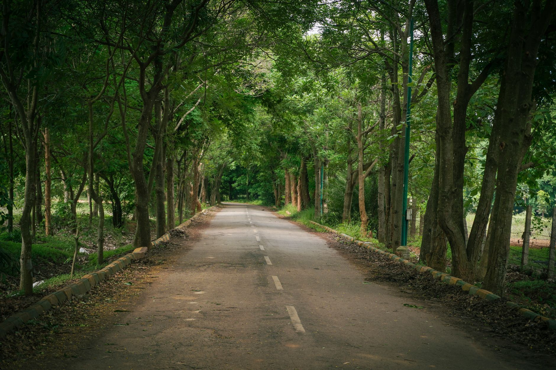 Bengaluru Residents Demand Environmental Scrutiny of Tunnel Project