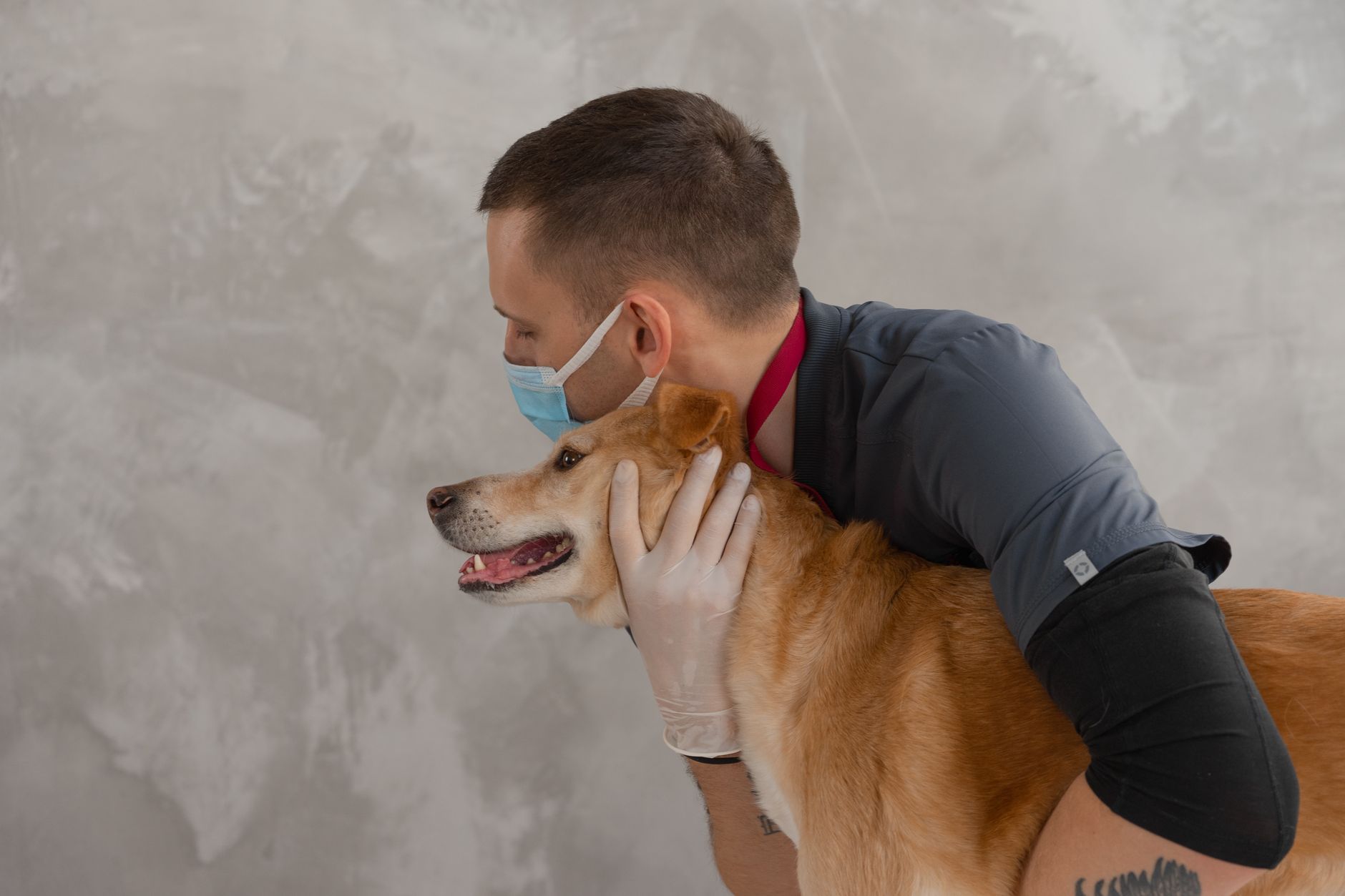 Revolutionary Design: How Veterinary Hospitals Are Transforming Animal Care