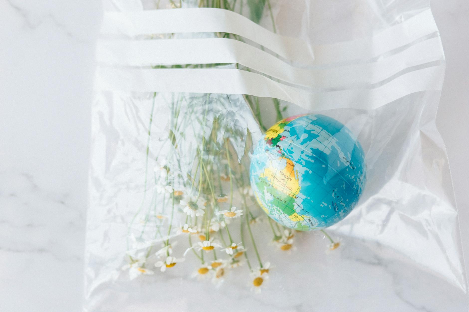 Azerbaijan Hosts World Environment Day 2026 with a Call to Action