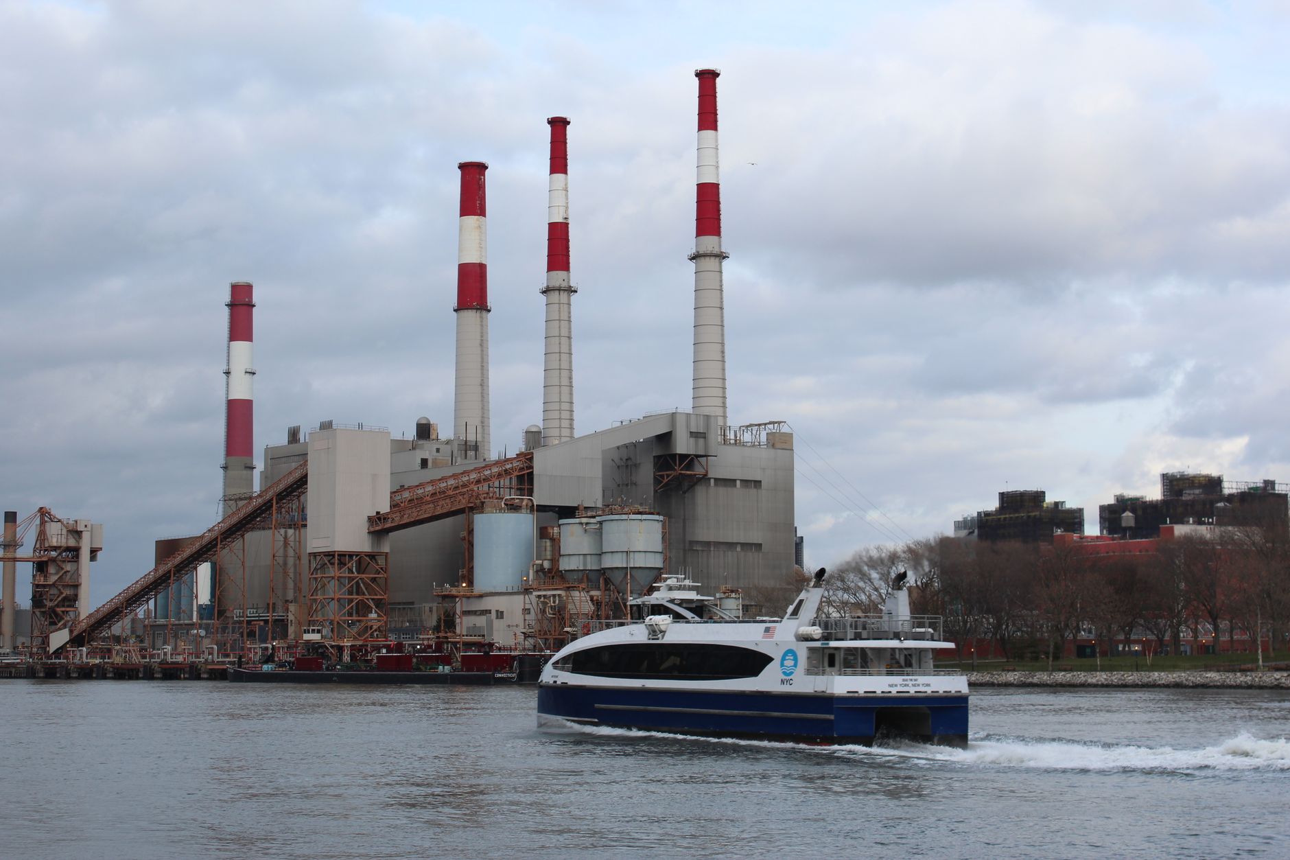 Rays Spotted in NYC's Newtown Creek: A Glimmer of Environmental Hope