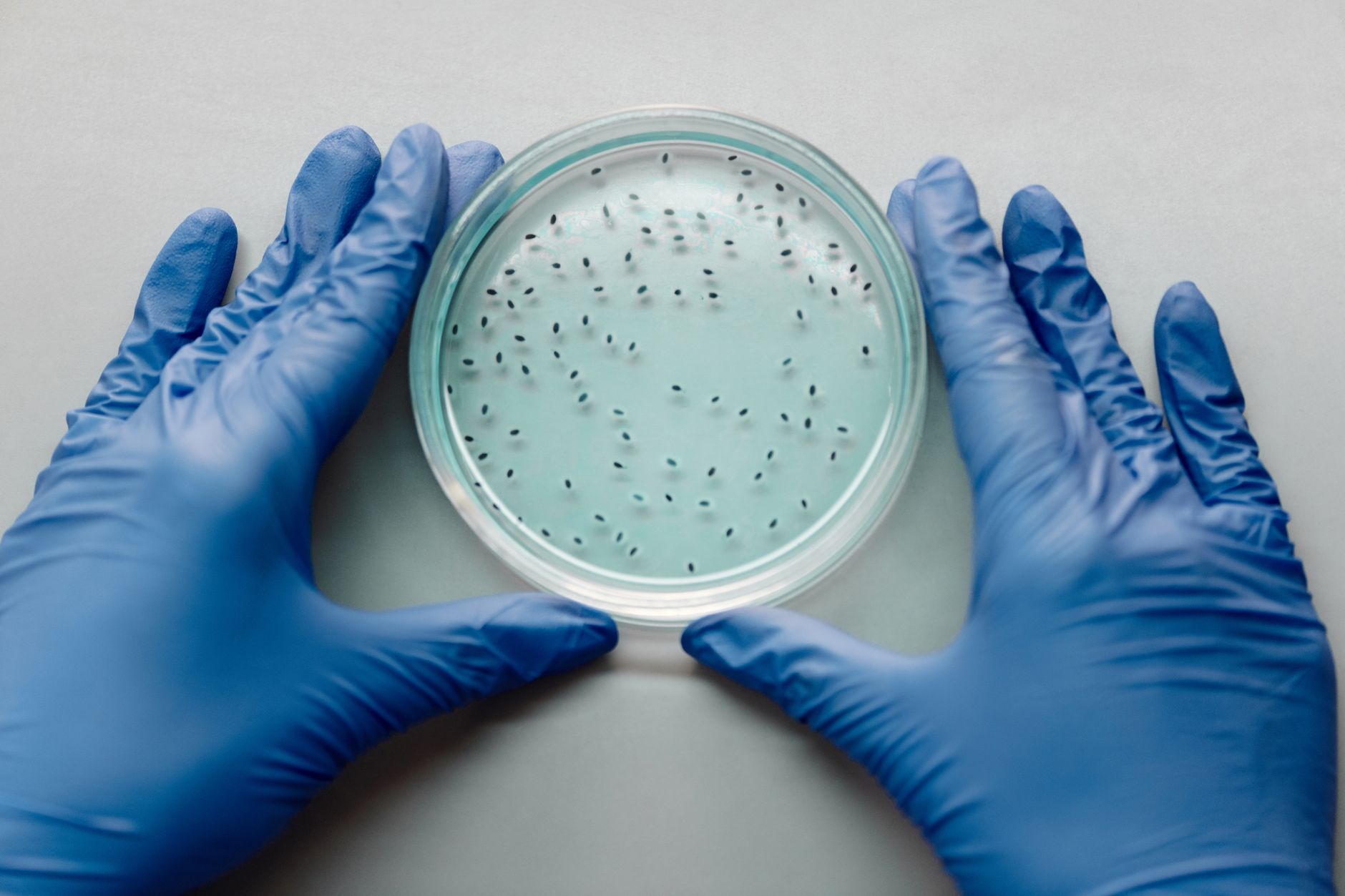 Dutch Scientists Turn Office Urine into Electricity and Nutrients