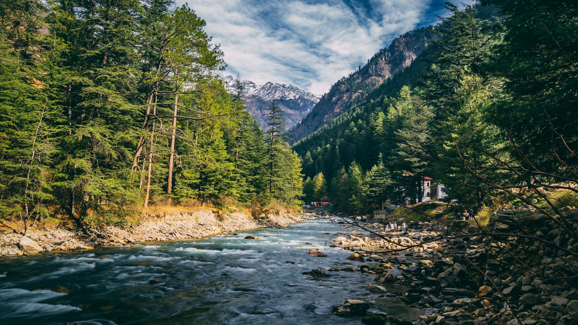 India's Green Renaissance: A Decade of Environmental Triumph
