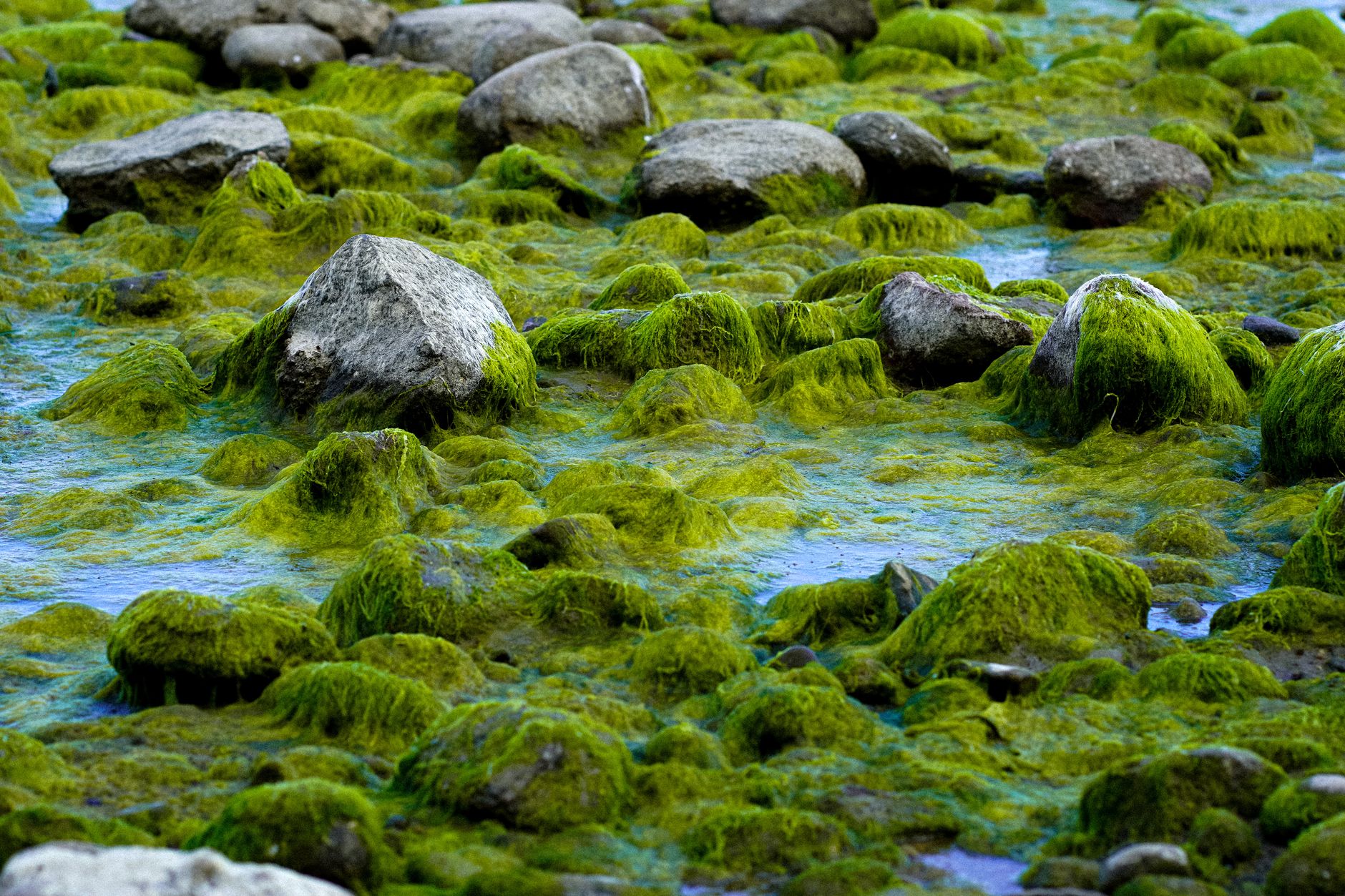Baltic Sea's Growing Dead Zones Threaten Marine Life