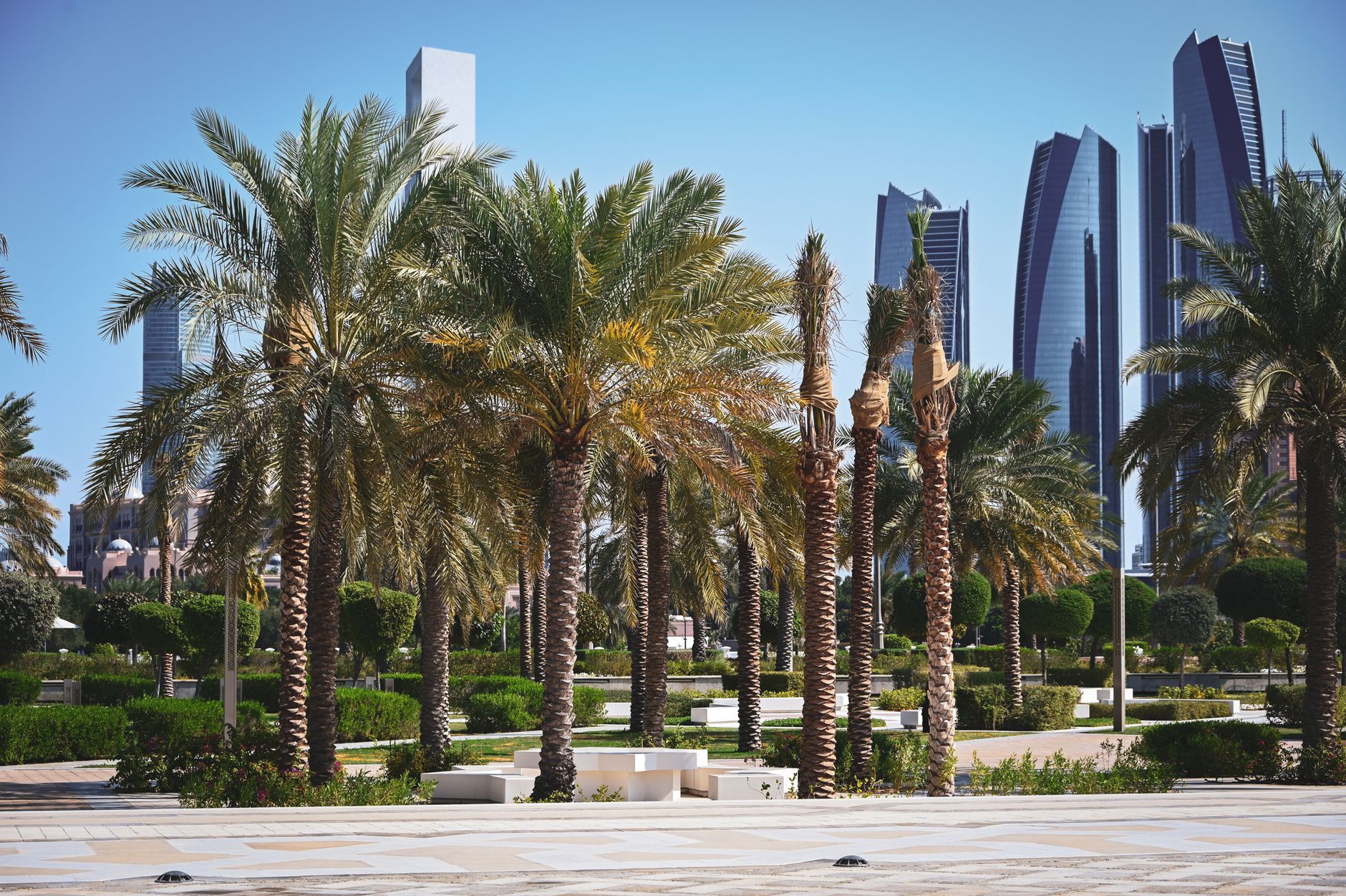 Abu Dhabi's Vision: Pioneering a New Era in Global Health