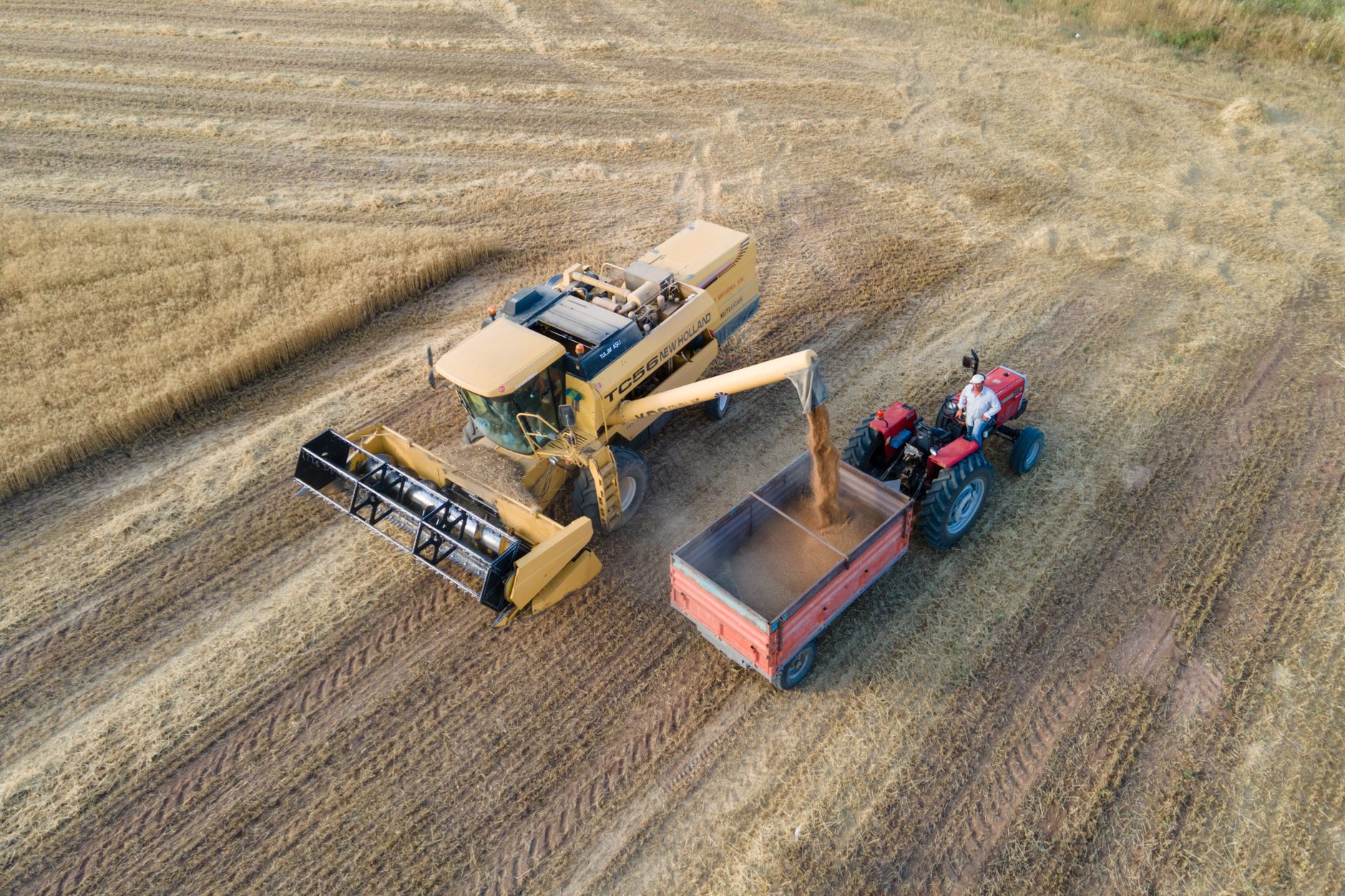 New Tech Powers Xinjiang's Agricultural Revolution