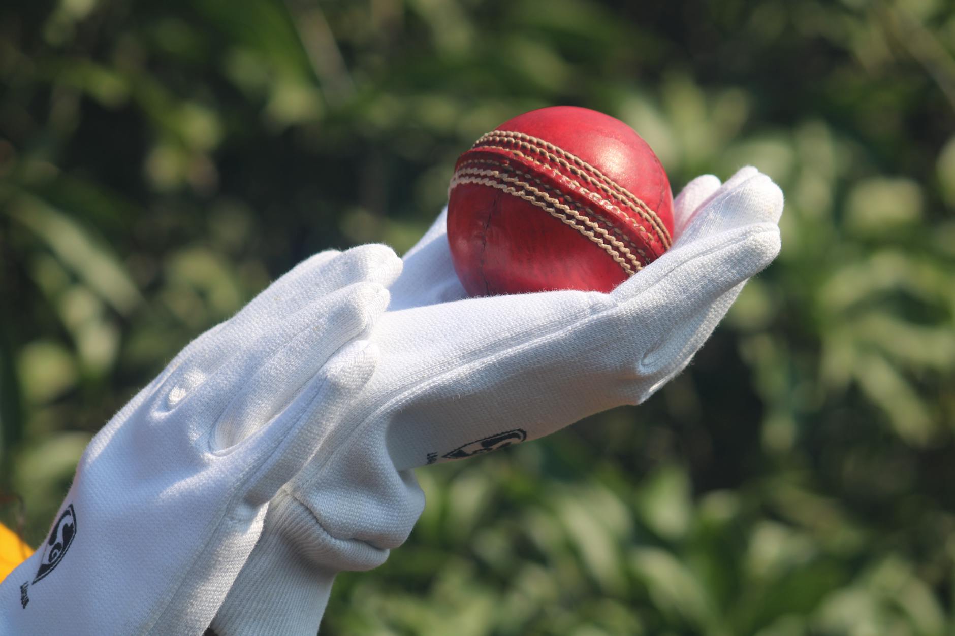 Australia Rests Key Bowlers for Pakistan and Bangladesh Tours