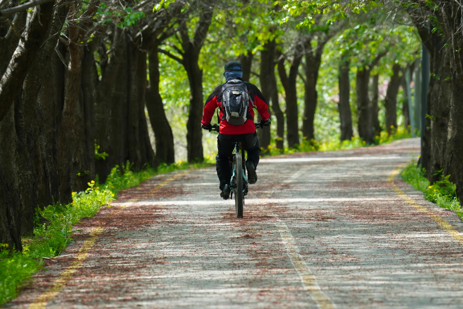 Cyclists Rally for Fitness and Environment at Ludhiana University