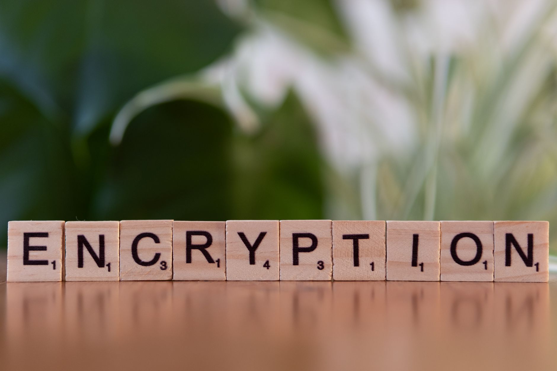 Dutch Innovator Fortaegis Secures $50 Million for Chip Security Tech