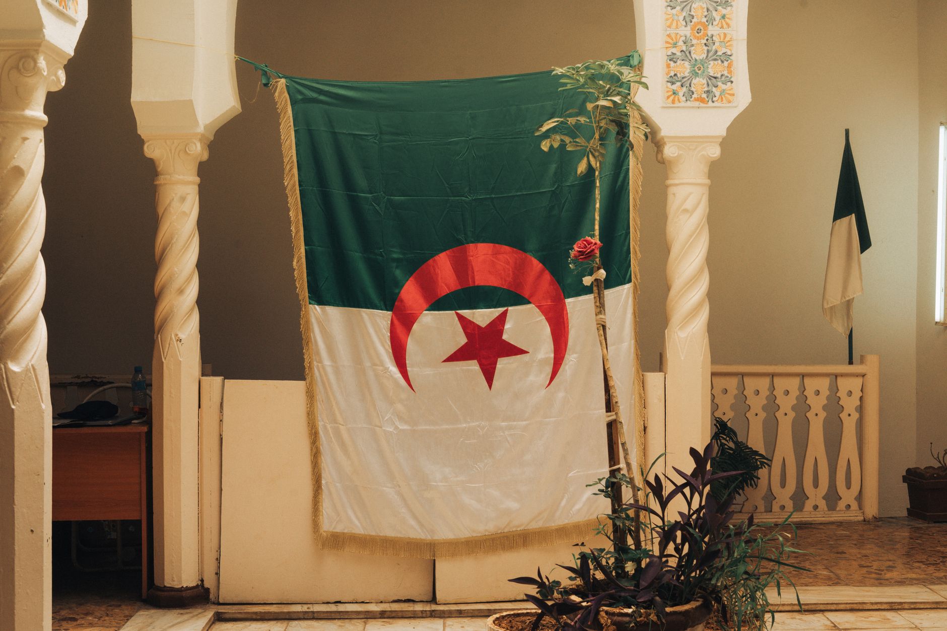 Algeria's Diplomatic Rift with UAE: A Clash of Middle Eastern Titans