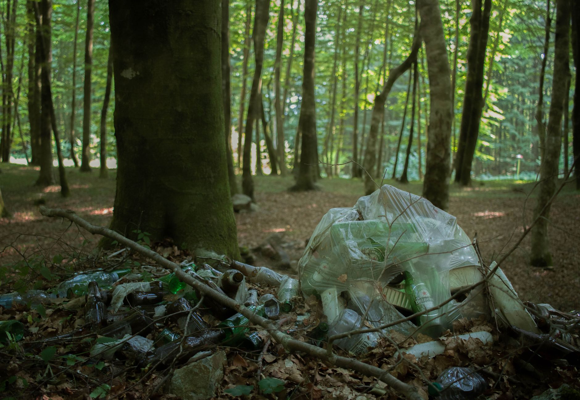 CUK to Host Global Dialogue on Earth's Future in the Anthropocene