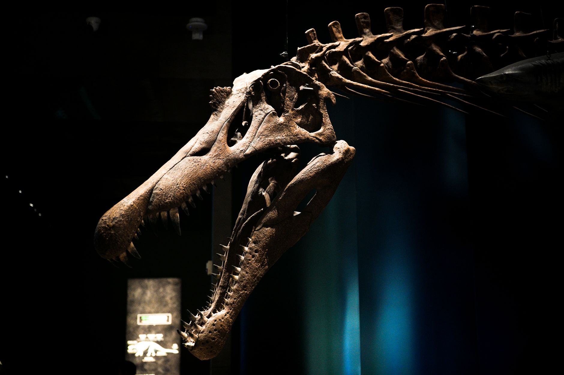 Scientists Uncover Rare Meteorite That Ended Dinosaur Era