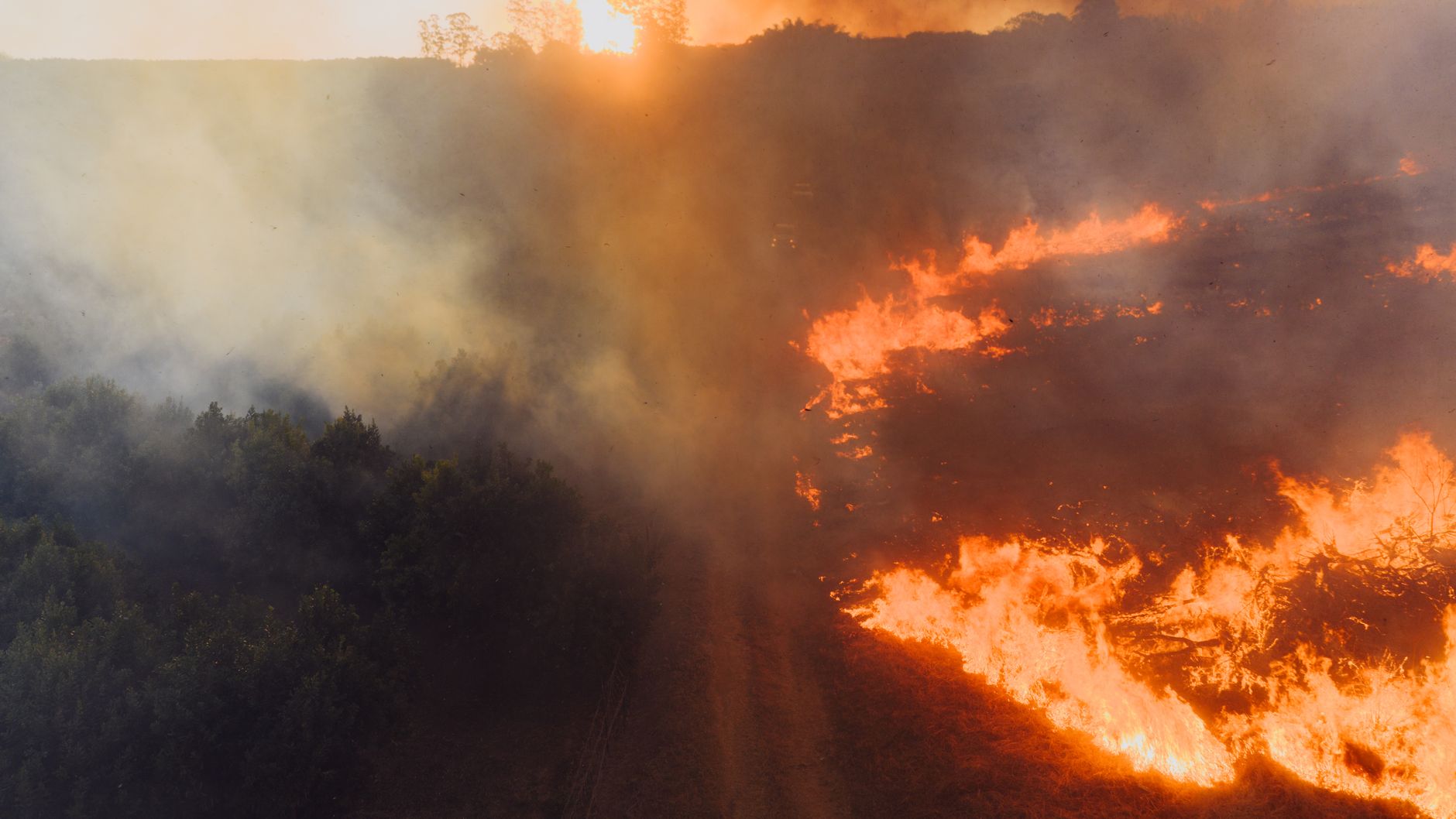 Unprecedented European Heatwave Directly Linked to Climate Crisis