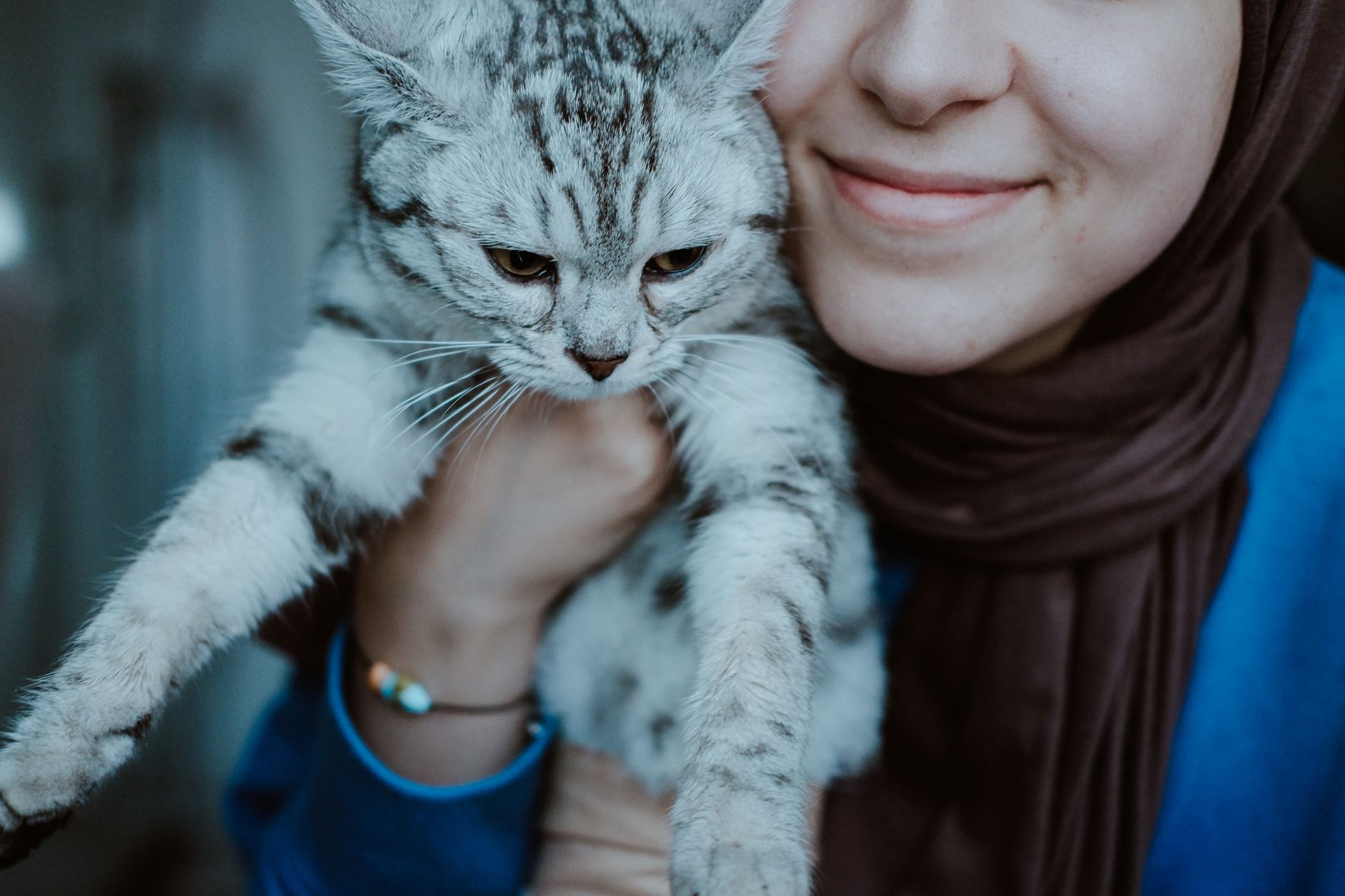 Feline Joy: Cats Linked to Happiness in Global Study