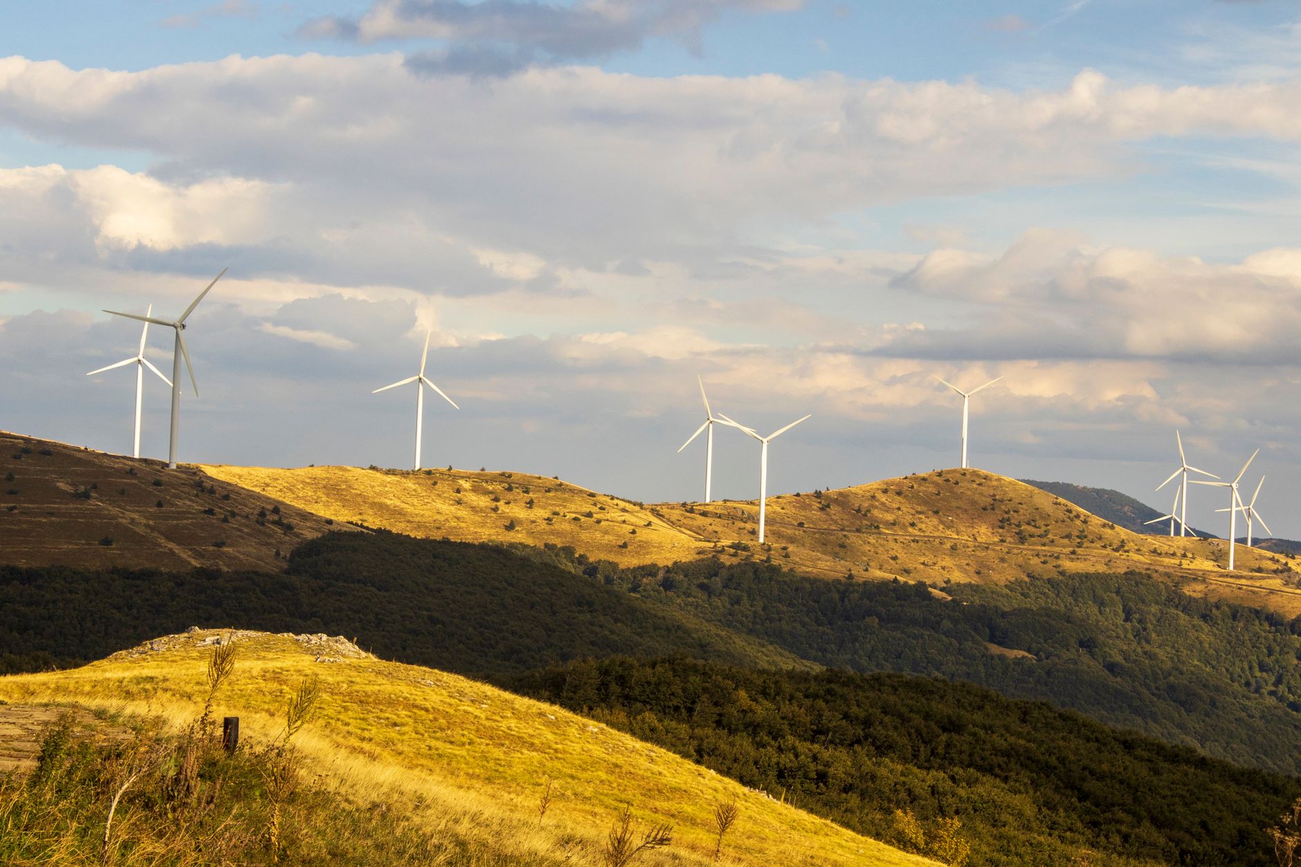 Scientists Identify Climate Solutions Poised for Breakthrough