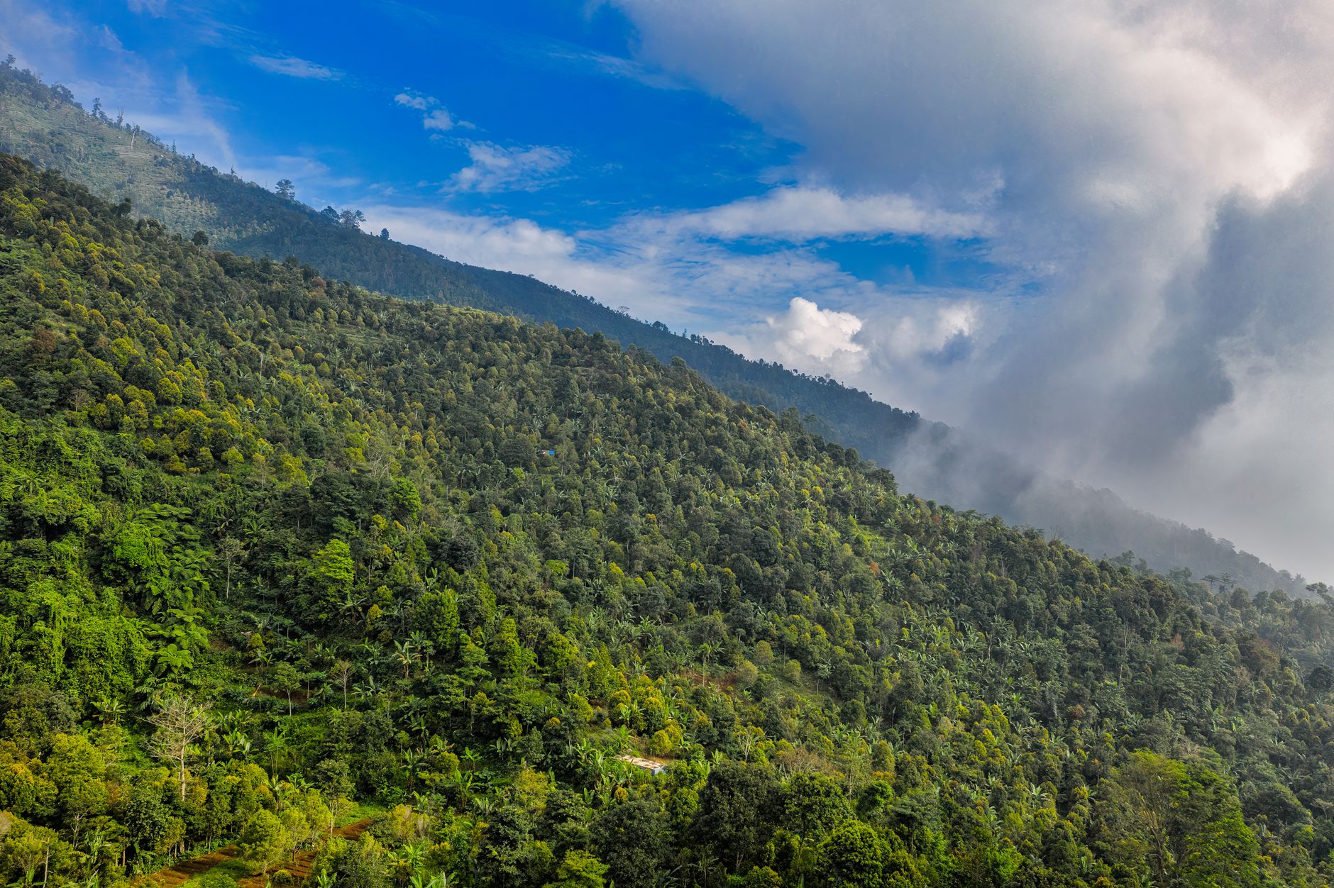 Environment Minister Stresses Tailored Solutions at Pre-COP31 Summit