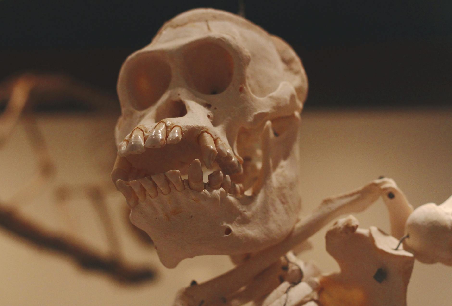 Rethinking Evolution: New Insights Challenge Old Assumptions