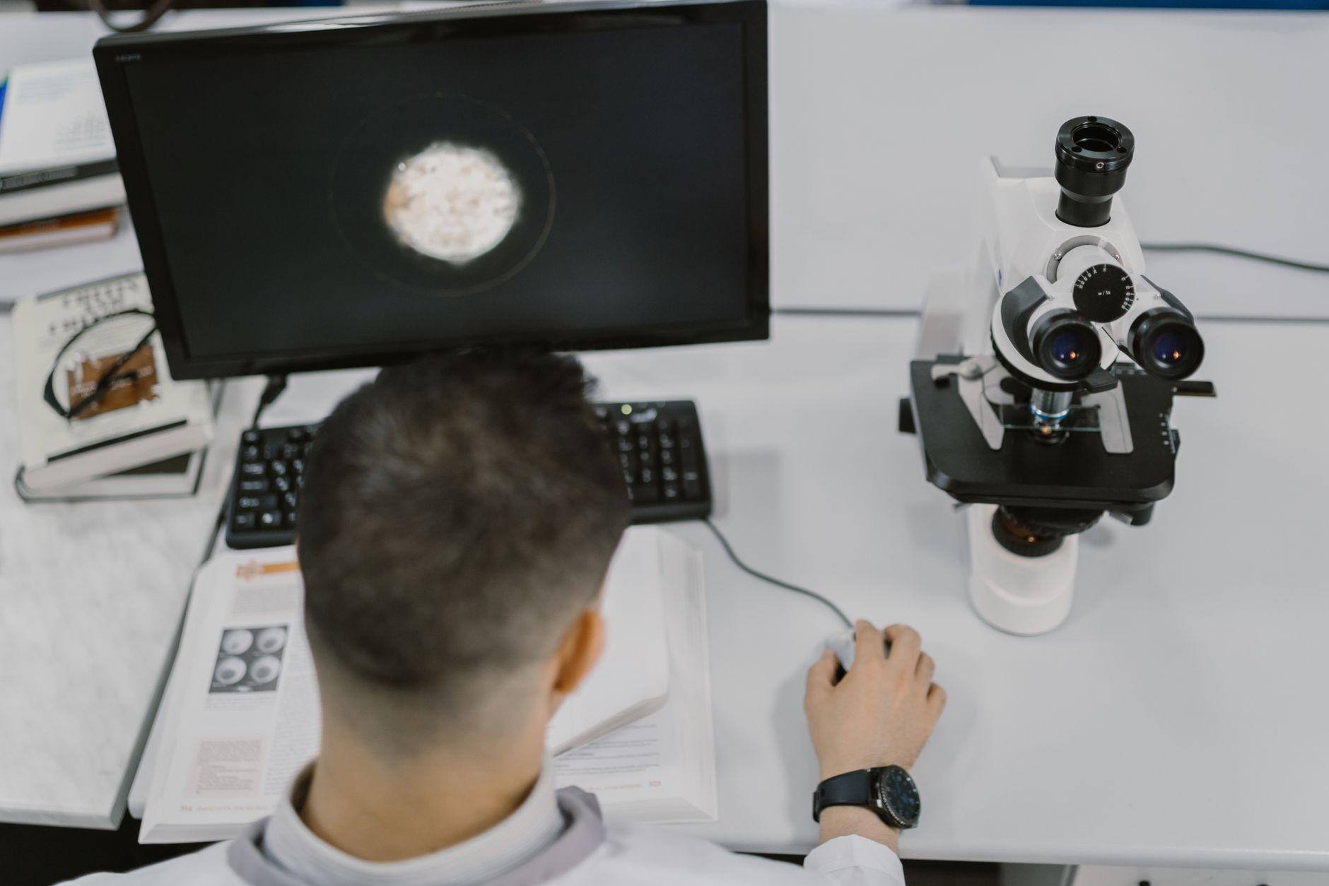 New Cell Discovery Sheds Light on Aging Prostate Mystery