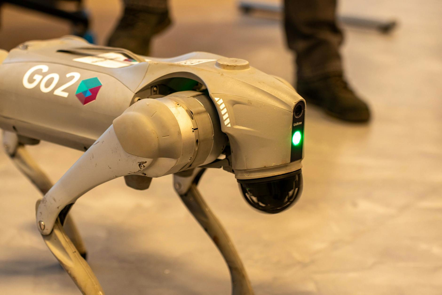 The 20-Legged Robot Defying Conventional Design