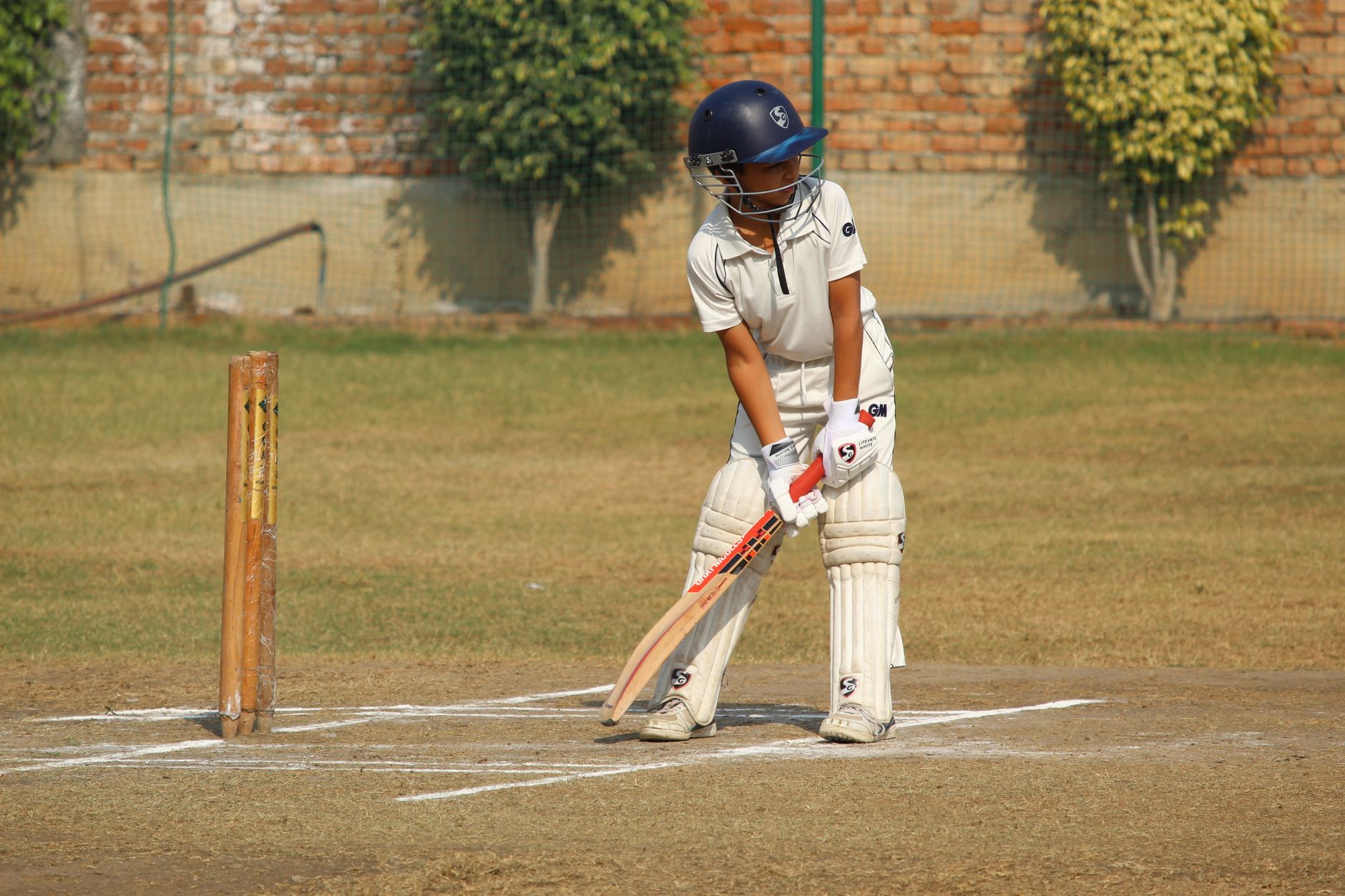 Box Cricket: From Gurugram's Fields to Stadium Floodlights