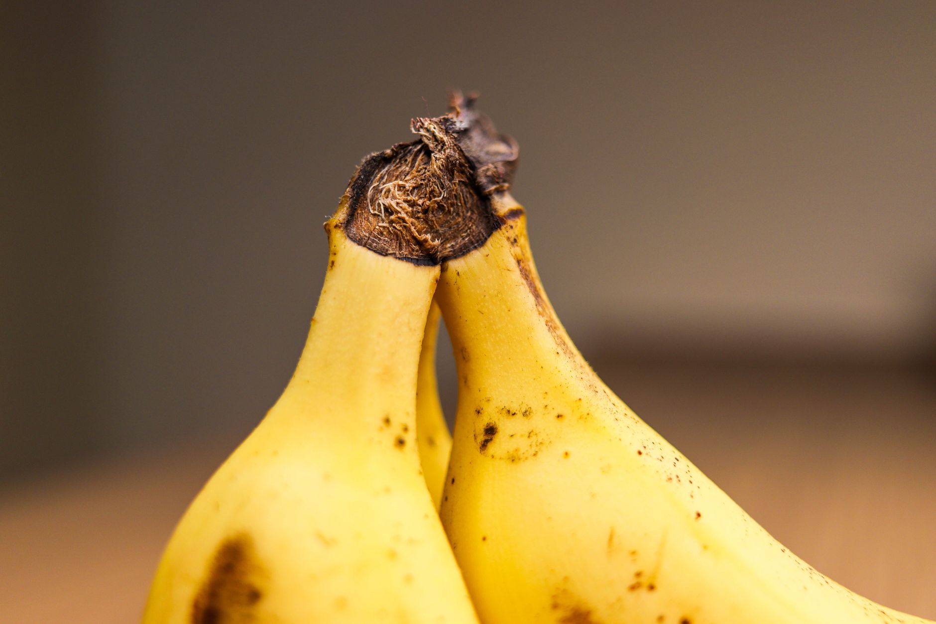 Unlocking the Ancestral Secrets of the Banana Genome