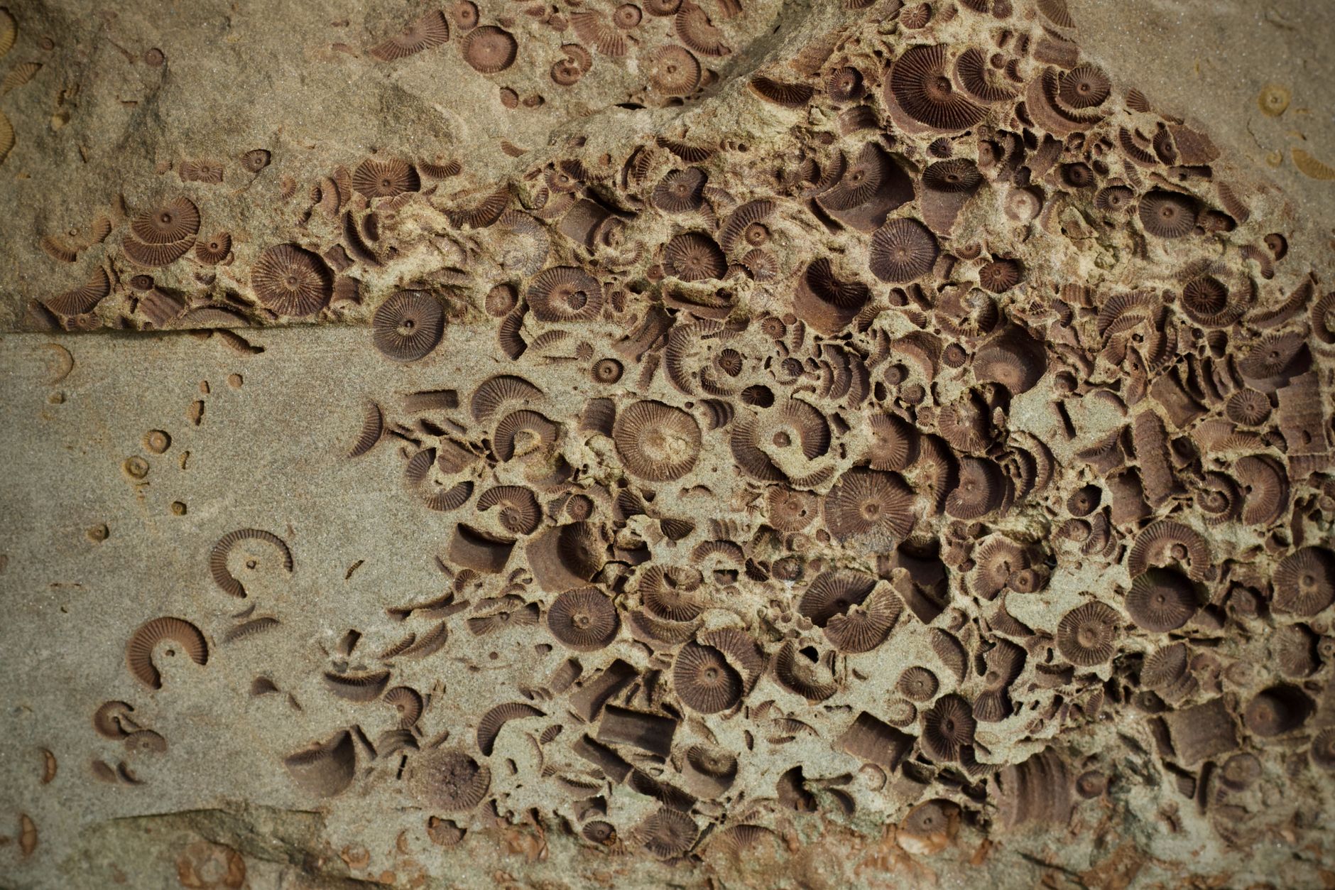 An Ancient Misstep: Rethinking Earth's 2-Billion-Year-Old Clue