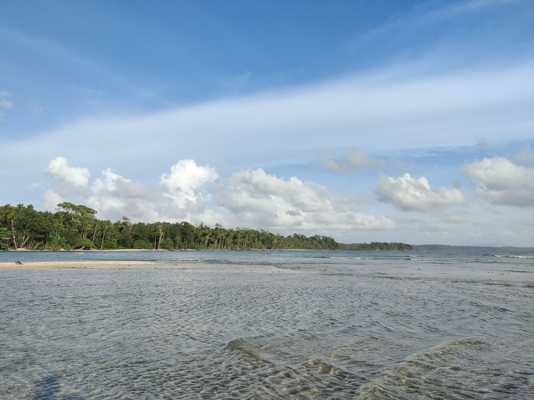 Ramesh Calls for Judiciary to Uphold India's Environmental Laws