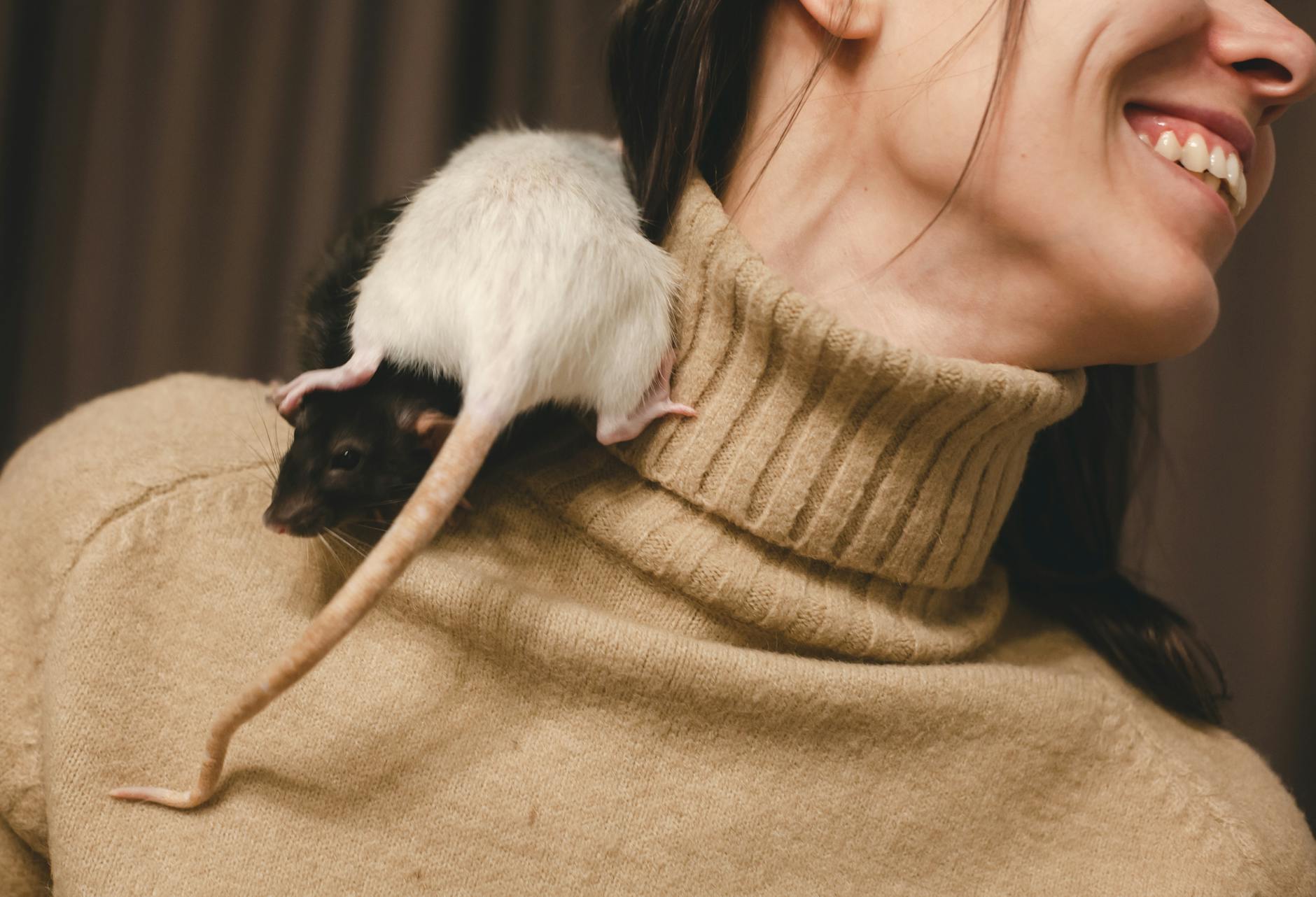 Longevity Gene Transfer: Mice Live Longer Thanks to Mole Rats