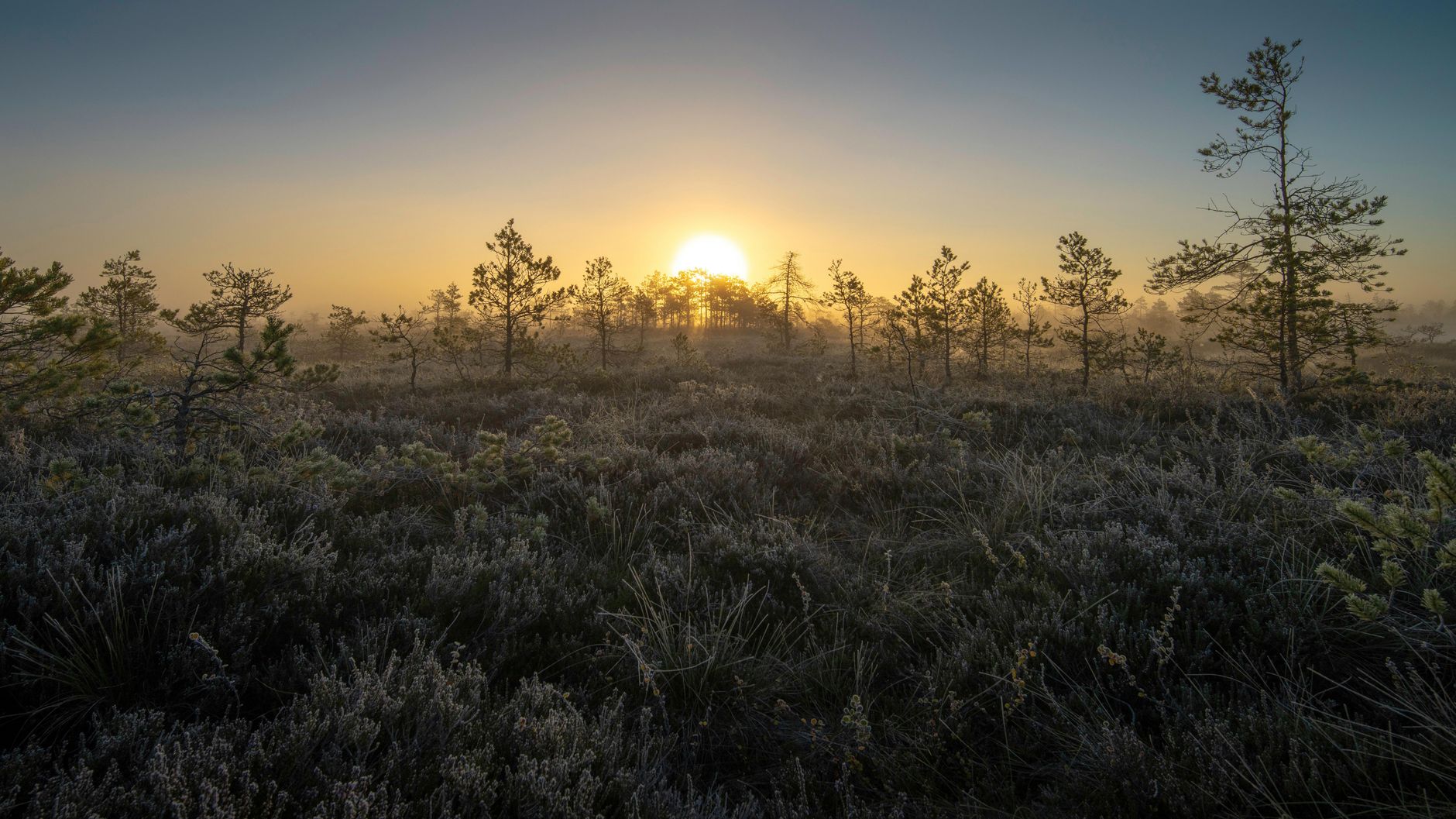 Estonia Tops Environmental Index as Global Challenges Persist