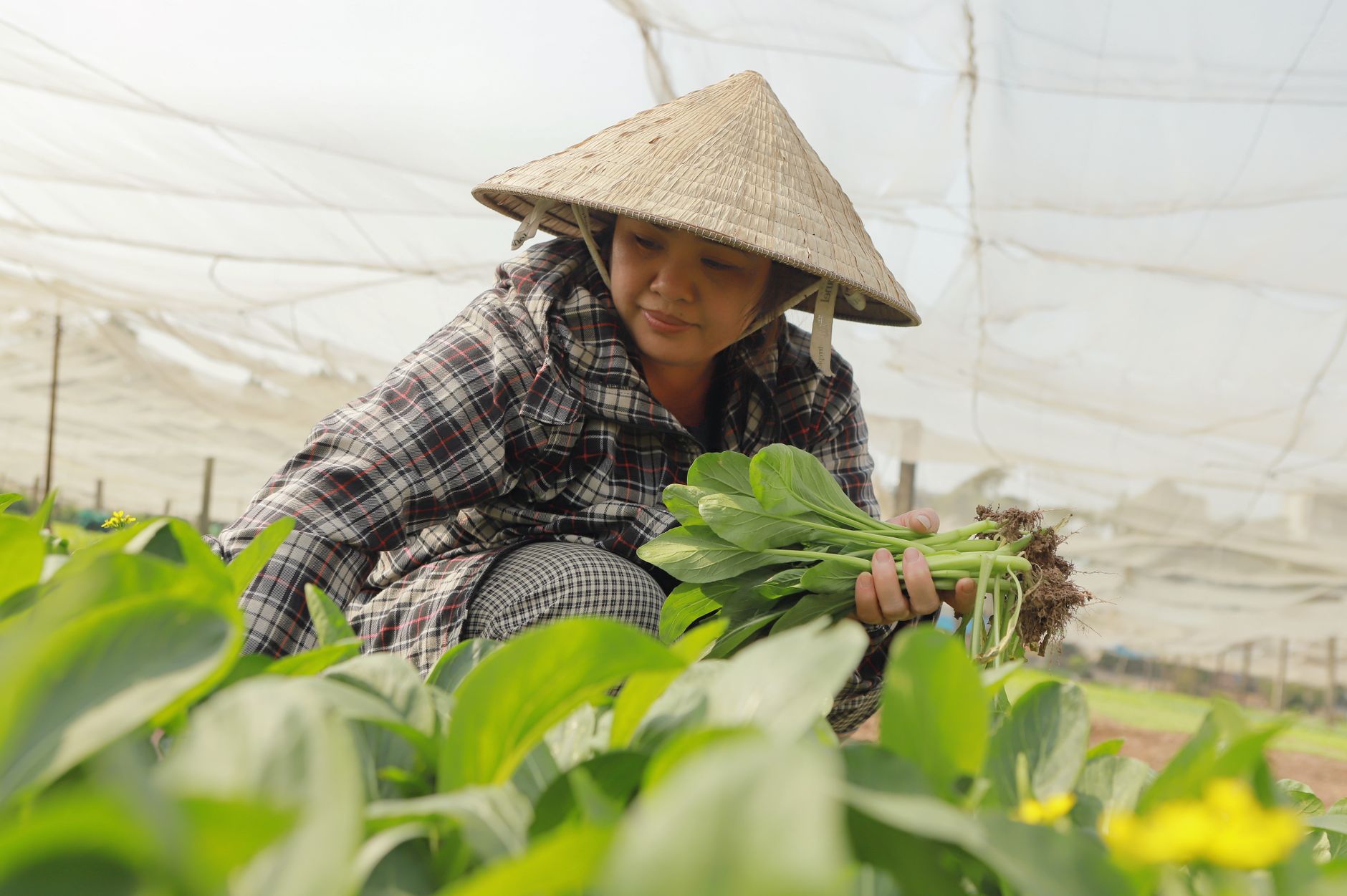 WWF Urges Global Food Production Reform to Halt Biodiversity Loss