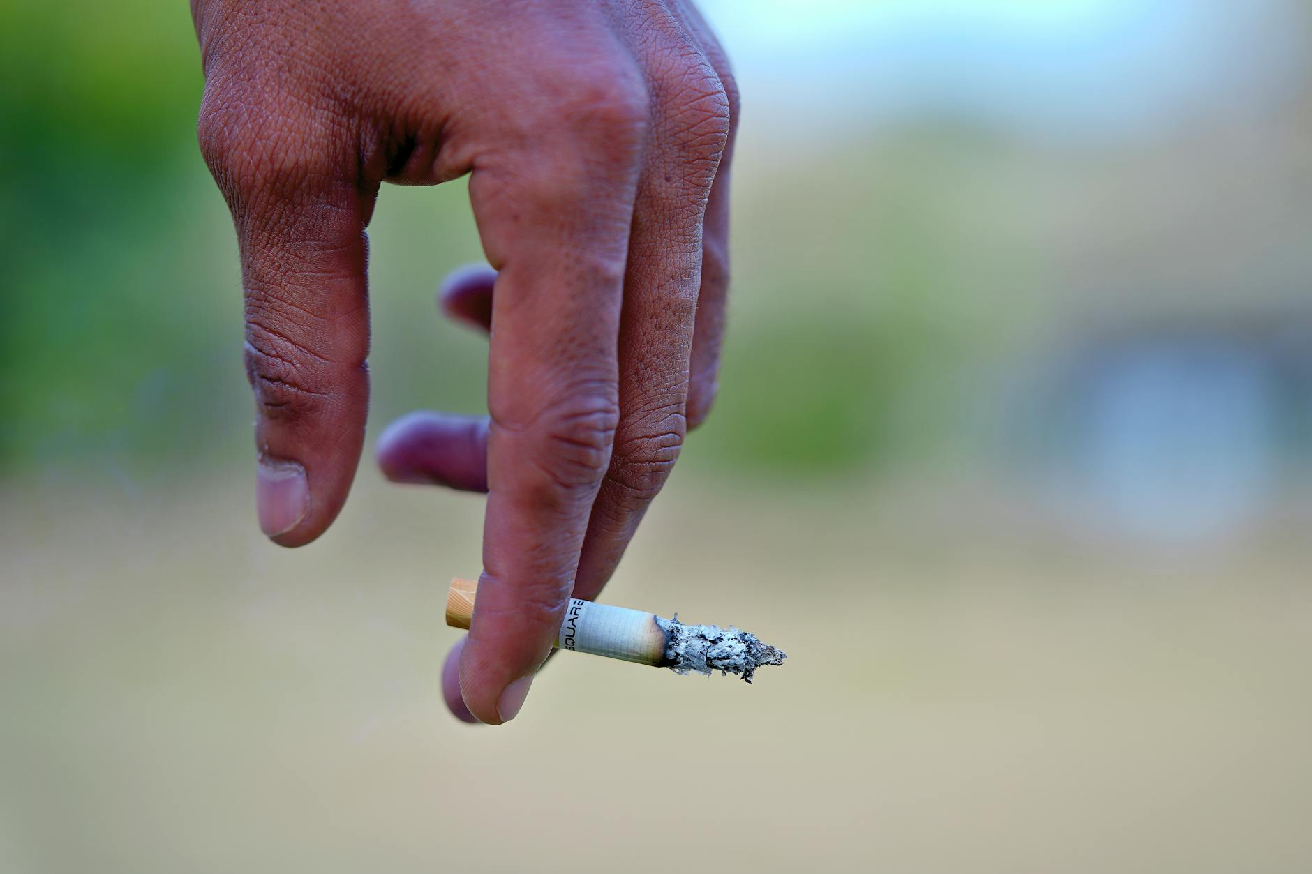 India's Environmental Crime Stats: A Smokescreen for Tobacco Offences?