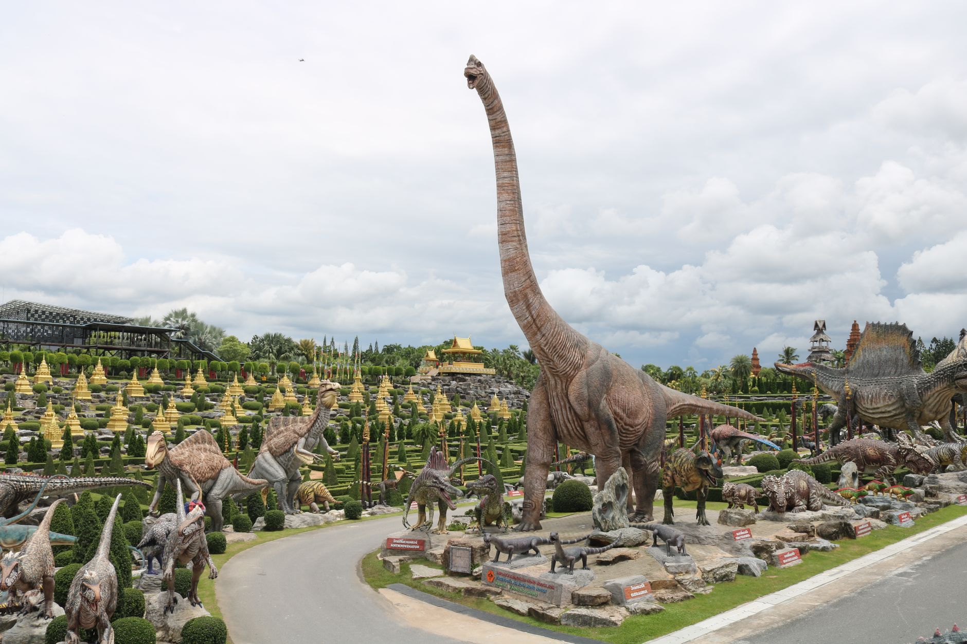 Rare Jurassic Dinosaur Fossils Unearthed in Thai Forests
