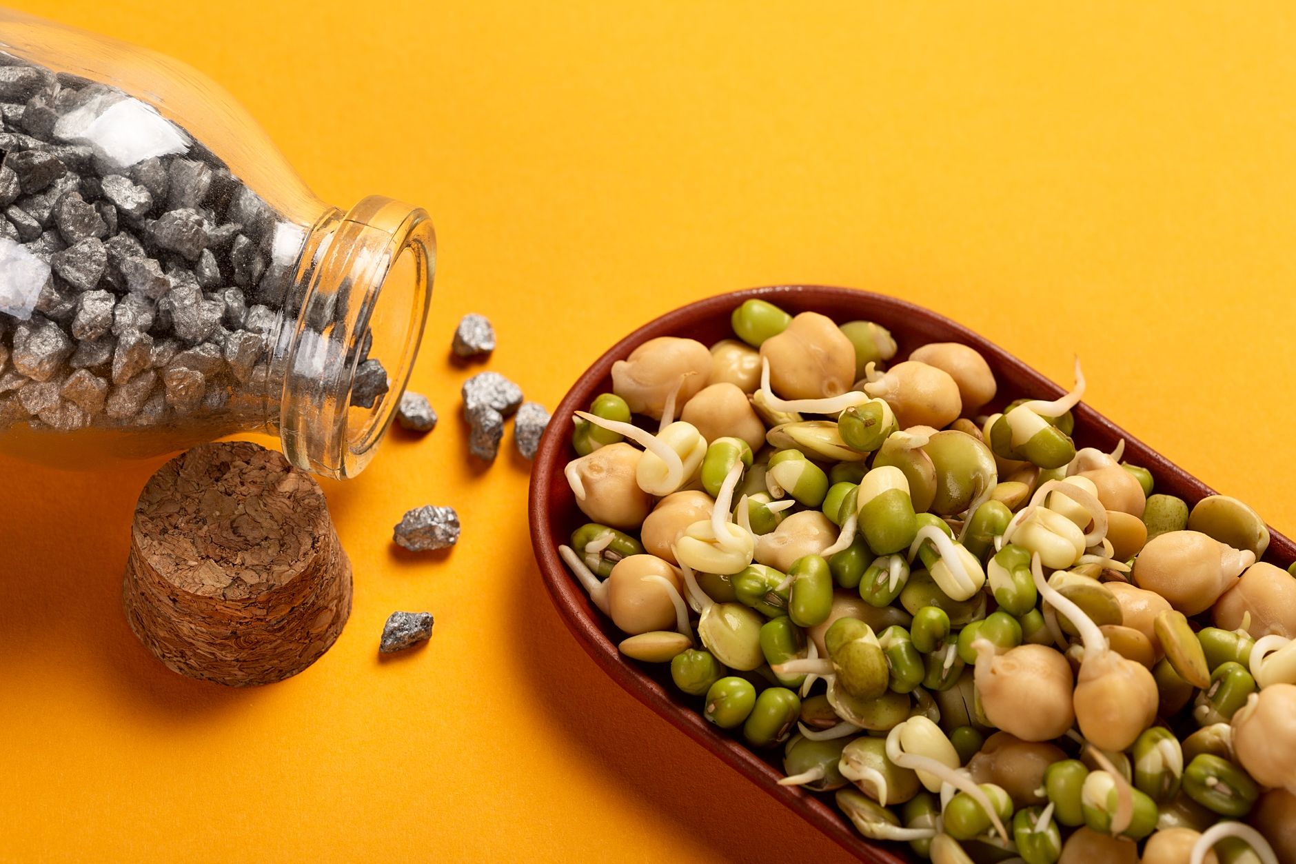 Navigating the Vegetarian Diet: A Nutritional Balancing Act